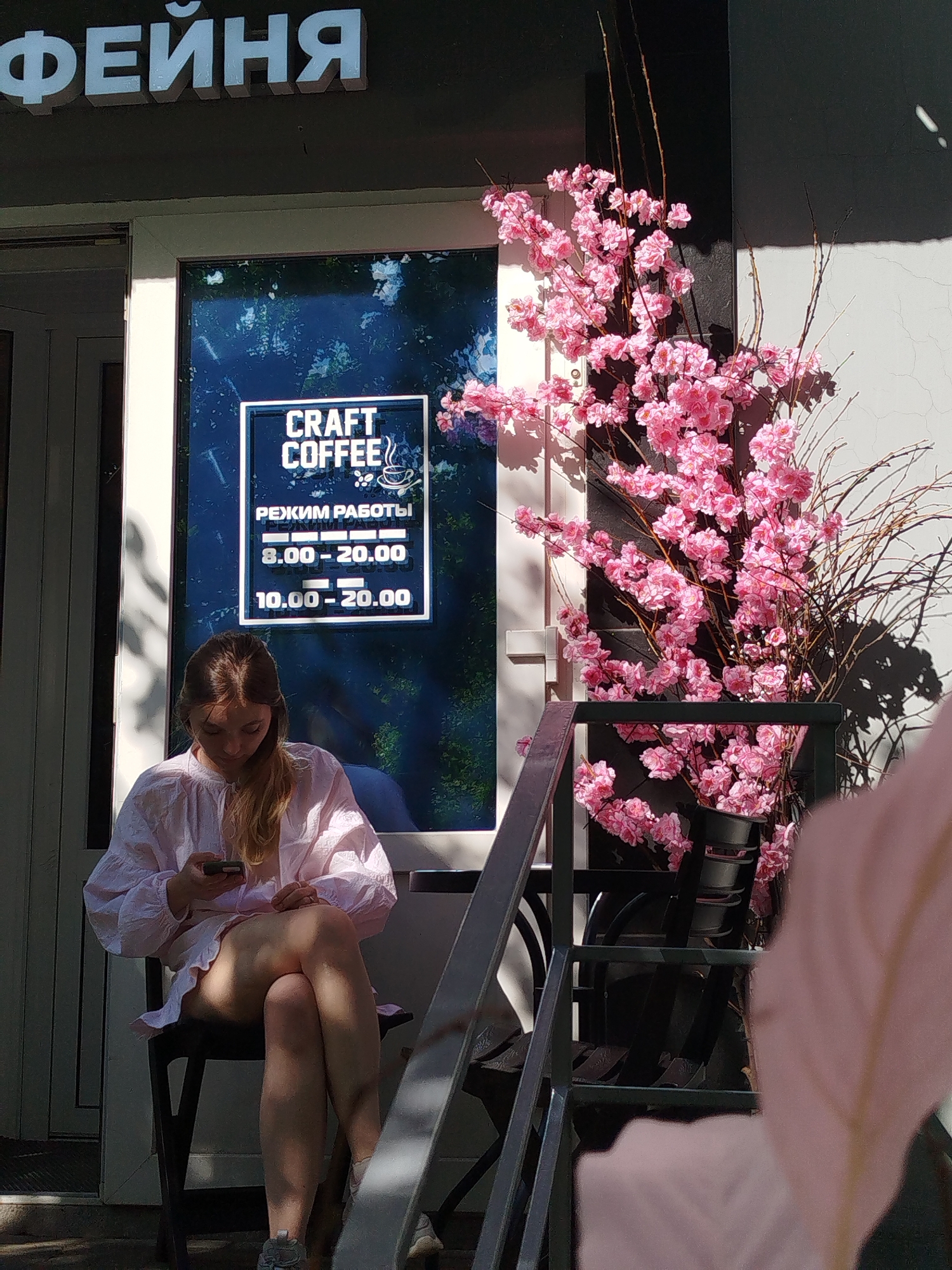 A young woman sits outdoors on a black chair, holding a smartphone. She is wearing a light pink, long-sleeved blouse with ruffled cuffs and a short skirt. Her legs are crossed, and she is looking down at her phone. Behind her, a window displays a sign for "CRAFT COFFEE" with operating hours listed in Russian: "РЕЖИМ РАБОТЫ 8.00-20.00" and "10.00-20.00". The window also reflects greenery. To the right of the window, a large artificial floral arrangement of pink cherry blossoms on brown branches is displayed in black planters. The sun is shining, casting shadows on the wall and ground, suggesting it is daytime. The scene appears to be the entrance to a cafe. The woman's posture and engagement with her phone suggest she is relaxed or occupied. The large text at the top of the image, "ФЕЙНЯ", is a Cyrillic word that translates to "FEYNYA", likely the name of the establishment.