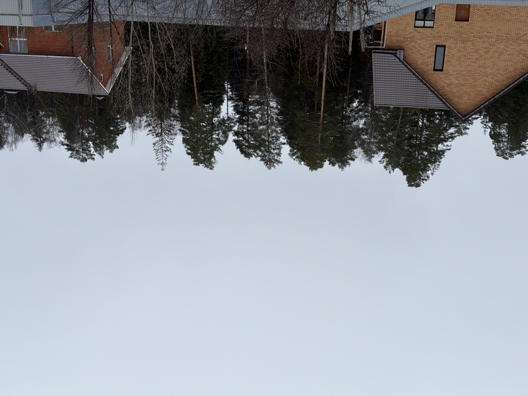 The image shows a scene from the city of Chaikovsky, Russia. It is an upside-down view featuring buildings, trees, and a cloudy sky. Two brick buildings are visible on either side of the top edge, each with dark-colored roofs. A dense line of trees with a mix of deciduous and evergreen species spans between the buildings. The sky occupies most of the frame.