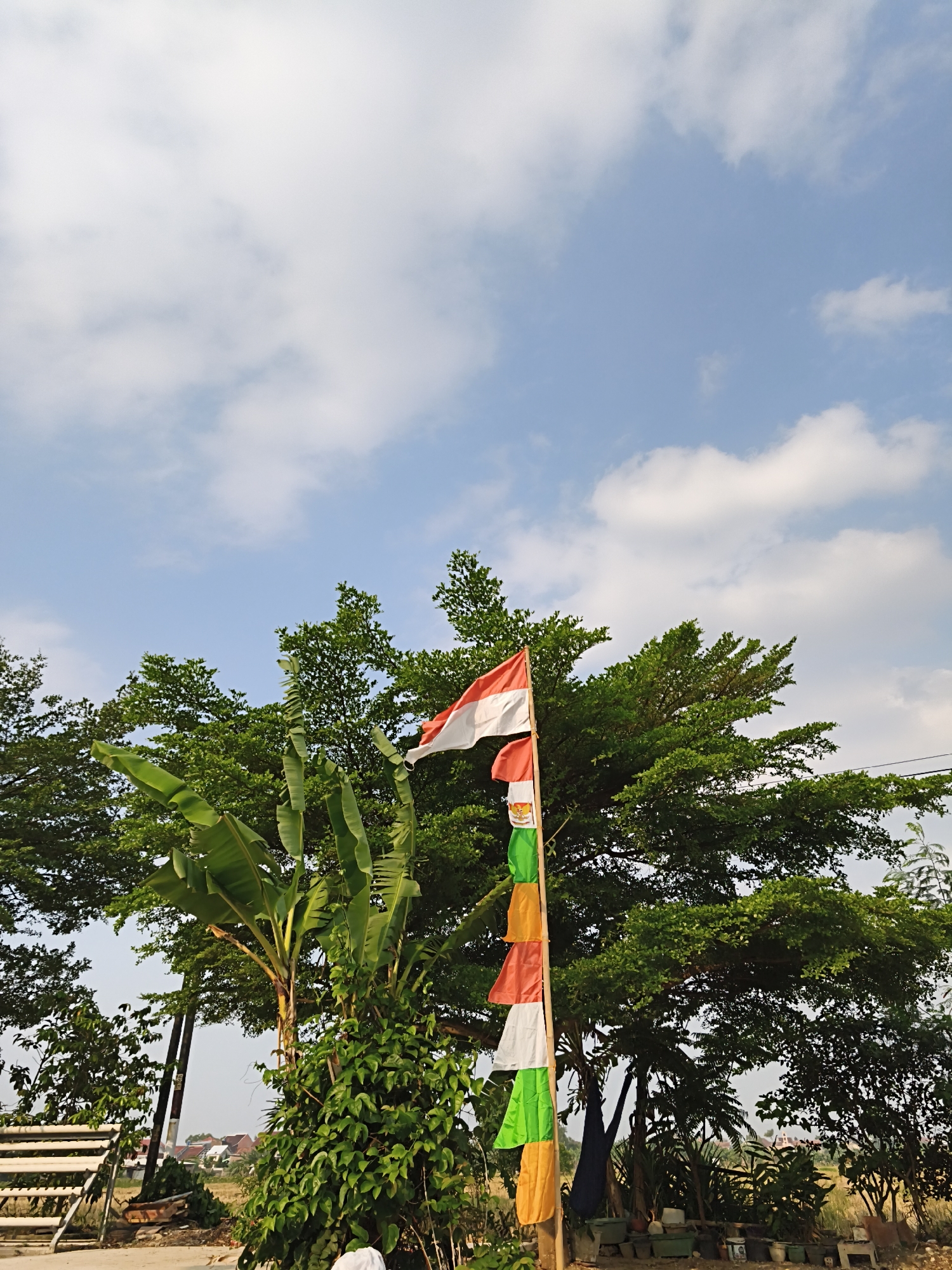The image depicts an outdoor scene with a clear blue sky dotted with white clouds. In the foreground, a tall wooden pole is adorned with several flags. The topmost flag is the Indonesian flag, featuring horizontal stripes of red and white. Below it are several other colorful flags in shades of green, yellow, and orange, arranged vertically. To the left of the pole, a banana tree with large green leaves stands prominently. Behind the flags and the banana tree, a dense canopy of lush green trees forms the background. The environment appears to be natural or semi-rural, with vegetation dominating the scene. In the distance, hints of buildings and possibly agricultural fields can be observed, suggesting a location on the outskirts of a city or town. The lighting indicates it is daytime, likely late morning or afternoon, given the brightness and the angle of the sun, casting subtle shadows. There are no visible people in the immediate frame. The overall impression is one of a bright, outdoors setting, possibly decorated for a local celebration or national holiday given the presence of the Indonesian flag.