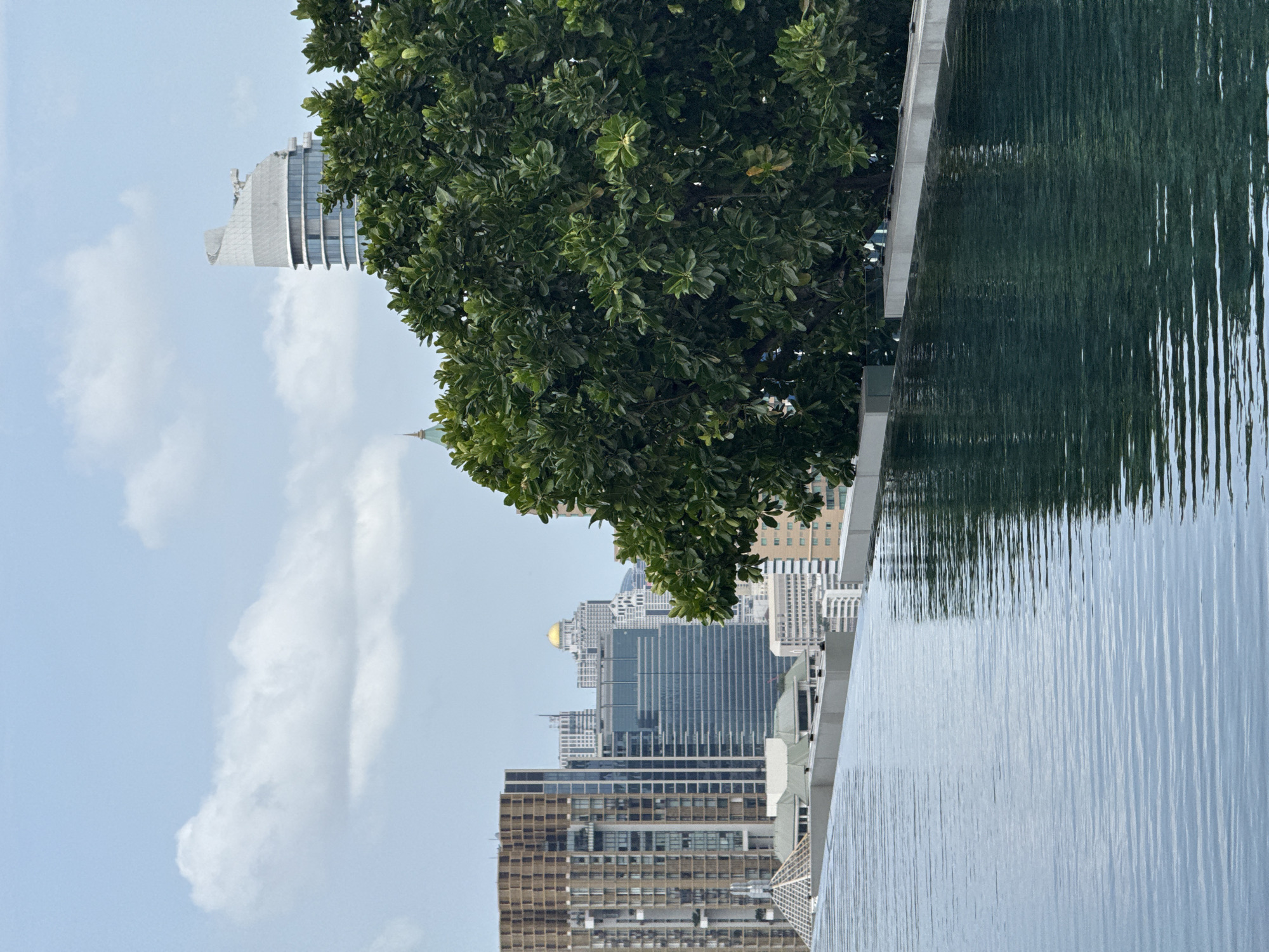 The image captures an infinity pool overlooking the Bangkok skyline, with a large, lush green tree dominating the right side of the frame. The pool's surface is calm, reflecting the sky and surrounding environment with subtle ripples. In the background, numerous skyscrapers of varying heights and architectural styles pierce the sky. Notable buildings include a modern, curved skyscraper on the far right, and a cluster of buildings with a distinctive golden dome in the center-left. The sky is partly cloudy, with soft white clouds against a light blue backdrop. The perspective suggests the photo was taken from a high vantage point, possibly a rooftop or a higher floor of a building. The scene is devoid of people, creating a serene and contemplative atmosphere. The overall impression is one of urban sophistication and natural beauty coexisting in a bustling metropolis.