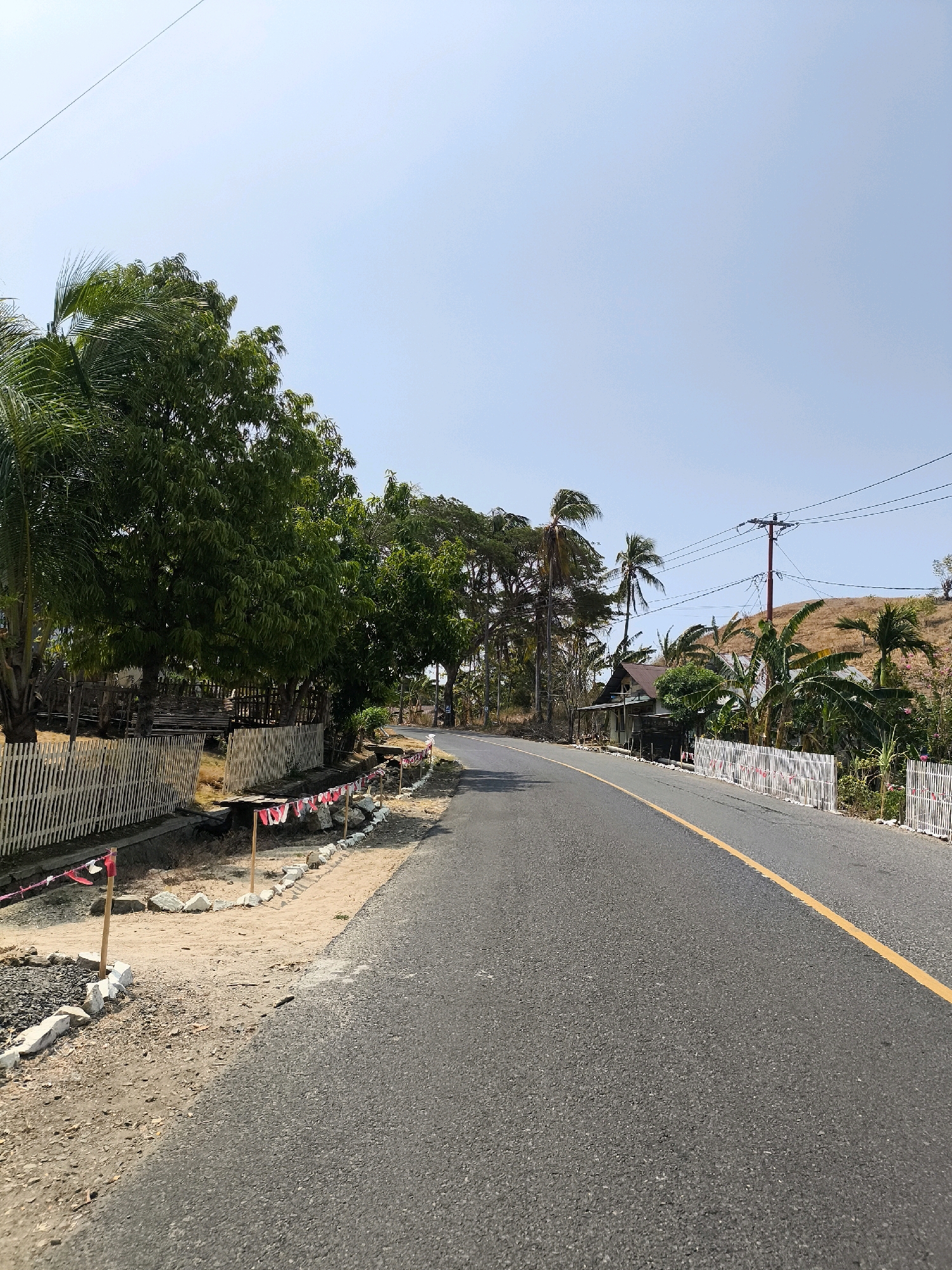 The image depicts a paved road with a yellow line running down the center, curving slightly to the right and leading towards a distant, gently sloped hill. The road is bordered on the left by a sandy path and a white picket fence, behind which are several lush green trees, including palm trees. A few small structures with thatched or corrugated roofs are visible behind the fence and trees. Small red and white flags are placed along the edge of the road on the left, marking the sandy area. On the right side of the road, there is a white picket fence that extends into the distance, with dense vegetation, including banana trees, behind it. A utility pole with multiple wires is visible on the right, situated on the hillside. The sky is clear and pale blue, with no clouds. The scene appears to be a rural or semi-rural area, possibly a roadside in the vicinity of Kwandang, Indonesia, characterized by its tropical vegetation and simple structures. There are no people visible in the image.