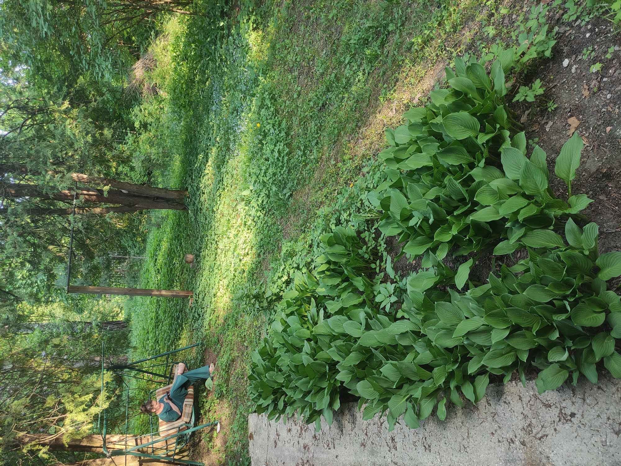 A photograph depicts a woman seated on a swing, in an outdoor setting. She is dressed in green and appears to be looking at a mobile phone in her hand. The swing is situated near a concrete surface, adjacent to a row of hosta plants with vibrant green leaves. The backdrop consists of a grassy area transitioning into a woodland. The geographic location, Kratovo, Russia, is unspecified in the image itself.