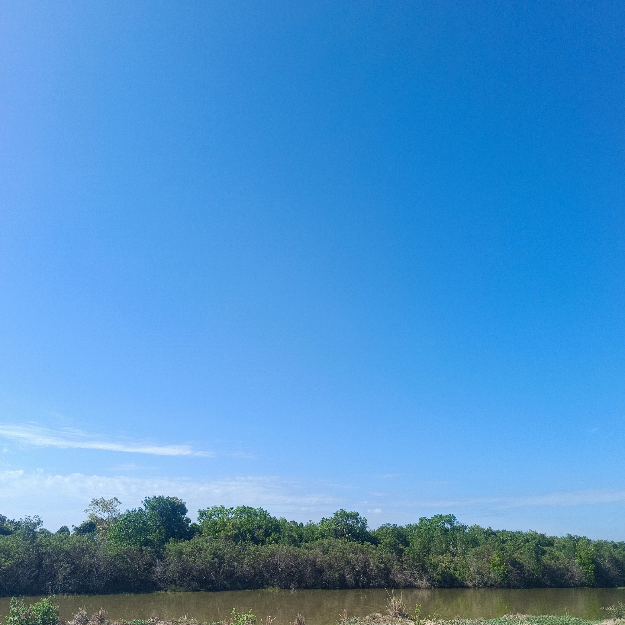 This image depicts a serene natural landscape under a clear blue sky. In the foreground, a calm body of murky brown water stretches horizontally across the frame. The water's surface is still, with only slight ripples visible. On the far bank of the water, a dense line of green trees and shrubs forms a natural barrier. The foliage is varied, with different shades of green indicating a mix of tree types and varying levels of sunlight exposure. Some of the trees are taller and more prominent, while others are shorter and more shrub-like, creating a textured, uneven treeline. The sky above is a vast expanse of uninterrupted, bright blue, with only a few faint, wispy white clouds visible near the horizon. The overall impression is one of a peaceful, undisturbed natural environment, likely situated in a rural or undeveloped area. The scene is devoid of any human presence or man-made structures. The location is identified as Geulanggangbaro, Indonesia.