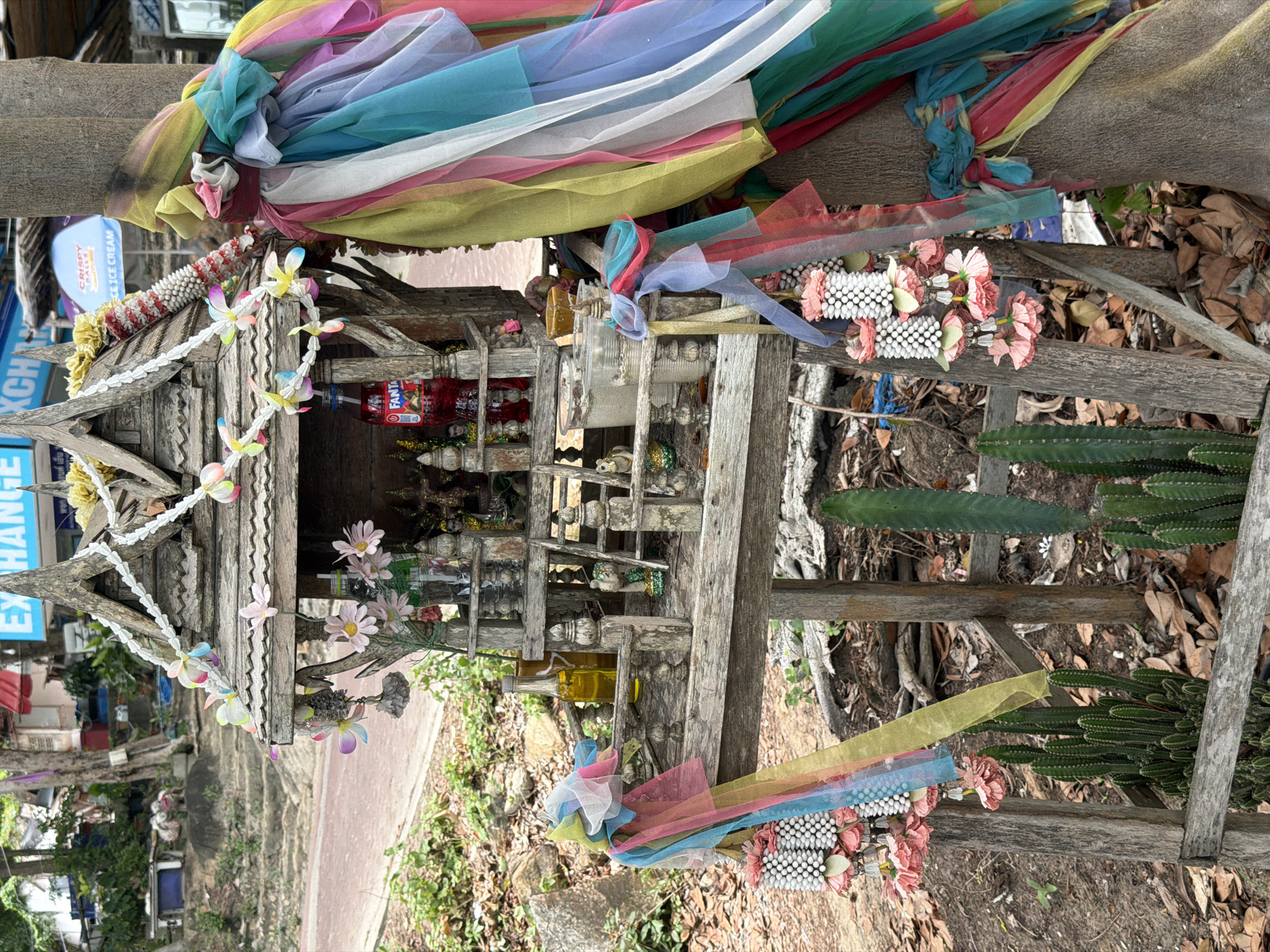 This image depicts an outdoor spirit house decorated with colorful fabrics and garlands in Ao Hin Khok, Thailand. The spirit house, constructed from weathered wood, features multiple levels and decorative elements. A red Fanta bottle is visible inside the structure, along with what appear to be small figurines and offerings. Garlands of white beads and pink artificial flowers hang from the spirit house. The structure is situated next to a large tree wrapped in a vibrant collection of multicolored sheer fabric strips. In front of the spirit house, several potted cacti and other plants are visible, resting on the ground and within a wooden enclosure. The ground is covered with fallen leaves and dirt. In the background, a road and more vegetation can be seen, along with hints of buildings and signage, suggesting an urban or semi-urban environment. There are no people visible in the image.
