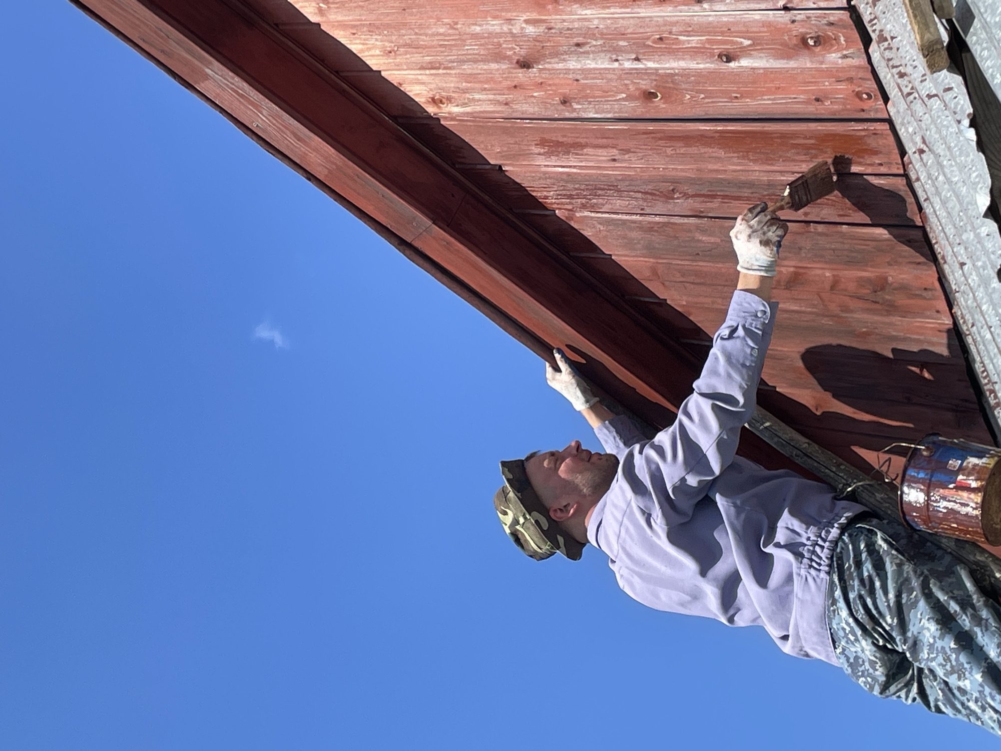 A man in a camouflage hat and a light purple jacket is standing on a ladder, painting the side of a weathered red wooden building with a brush. He is wearing white gloves. A rusty bucket with paint splatters hangs from the ladder. The building has vertical wooden planks, some with peeling paint. The roof appears to be corrugated metal. The sky is clear and blue with a small white cloud. The scene takes place outdoors, on a sunny day, in the village of Dresvyany, Russia.