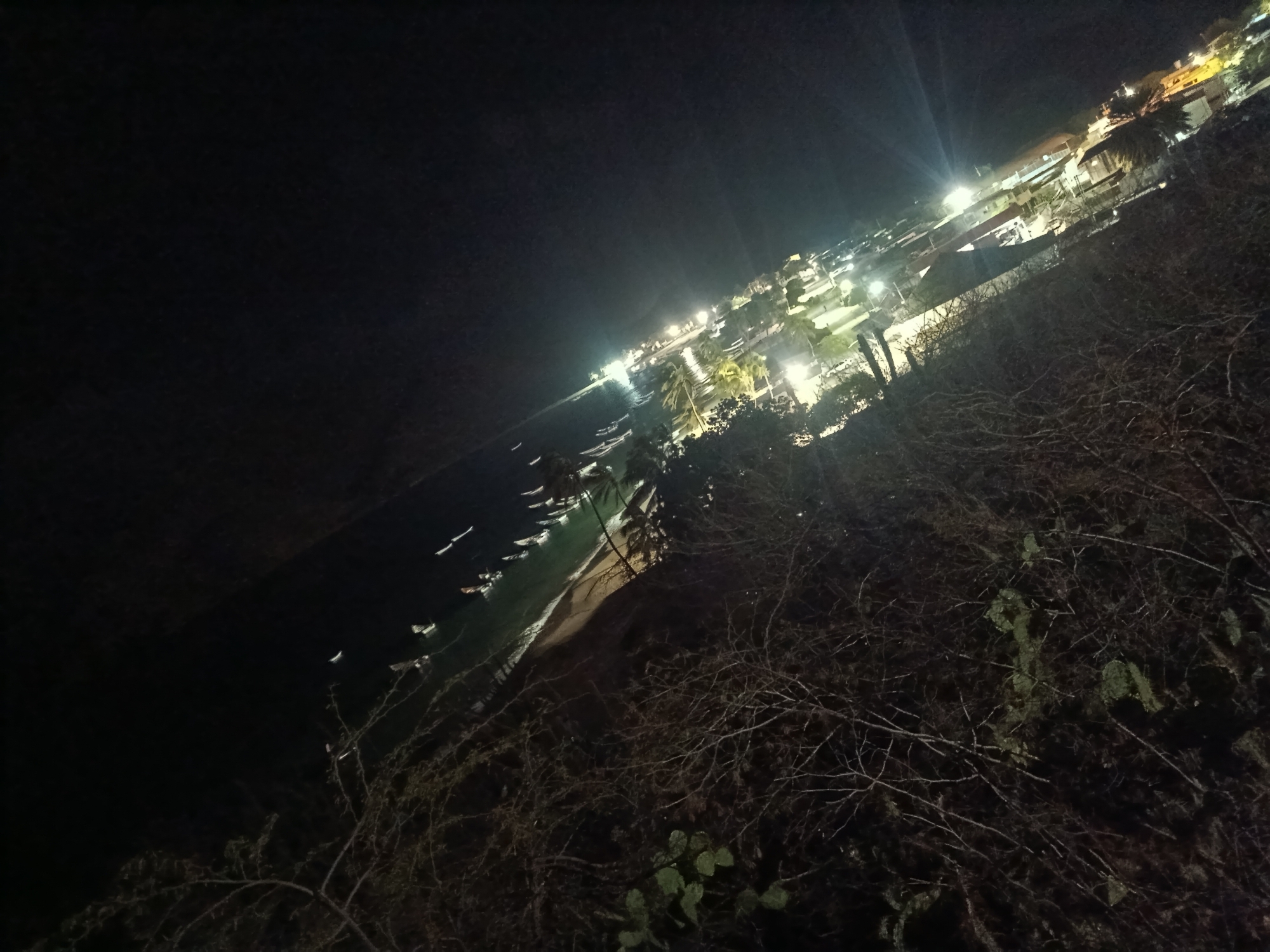 This image shows a nighttime view of Juan Griego, Venezuela, captured from an elevated position. The city lights illuminate the buildings along the coastline. A crescent-shaped bay is visible, with several boats anchored offshore. The foreground features vegetation, obscuring some of the view. The overall impression is of a quiet coastal town at night.