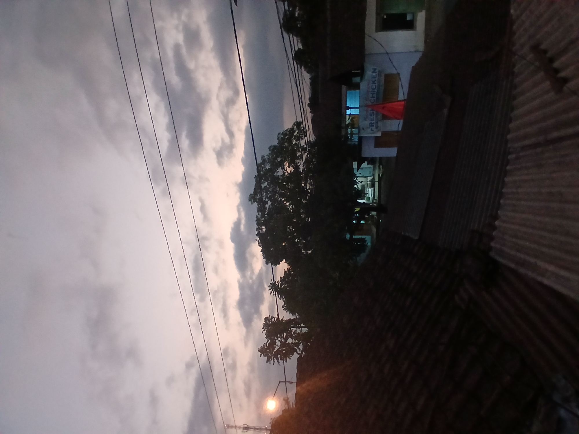 The image depicts a dusky sky with scattered clouds above a collection of rooftops in Tenggarang, Indonesia. In the middle ground, silhouetted trees are visible, with a large, prominent tree dominating the center. Behind the trees, a building with a sign that reads "FRESH CHICKEN" can be seen. A red flag is mounted on the building. A streetlamp with a lit bulb is visible on the left side of the image, casting a warm glow. The foreground is occupied by a corrugated metal roof. Power lines crisscross the sky. The overall scene suggests an early evening or late afternoon setting in a semi-urban or rural area.