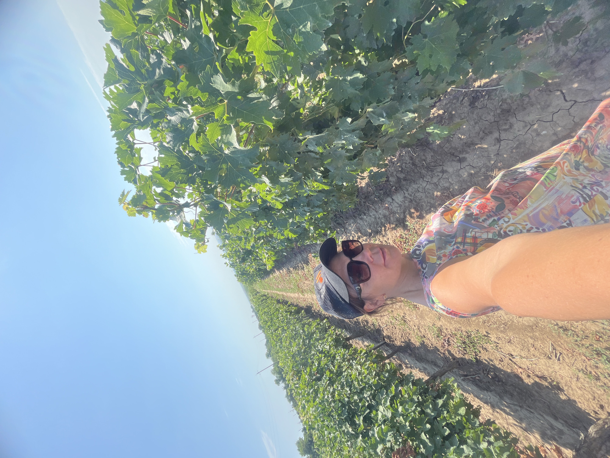 In a vineyard under a clear blue sky, a woman is taking a selfie. She is wearing a baseball cap, sunglasses, and a colorful, patterned dress. She is standing between rows of grapevines. The ground is dry and cracked, indicating a sunny climate. The vineyard stretches out in the background, disappearing into the distance. The overall impression is one of a warm, sunny day in a rural setting.