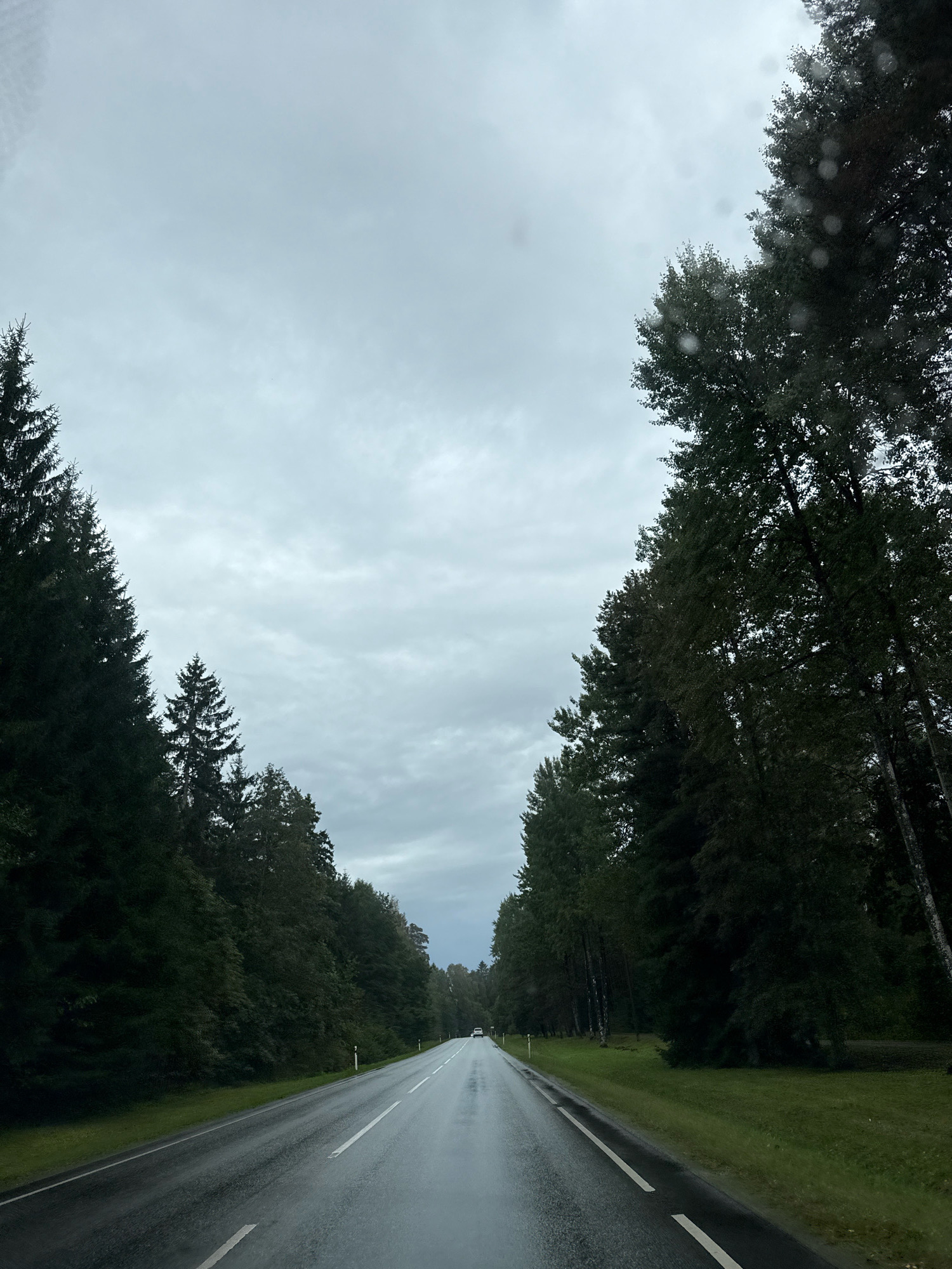 An empty, wet asphalt road stretches into the distance, flanked by dense, dark green coniferous and deciduous trees on both sides. The sky is overcast and a pale grey. Small white markers are visible along the side of the road, indicating the edge. A white vehicle is visible in the distance, driving away from the camera. The scene appears to be a road in a wooded area in Saku, Estonia, possibly during or after rain.