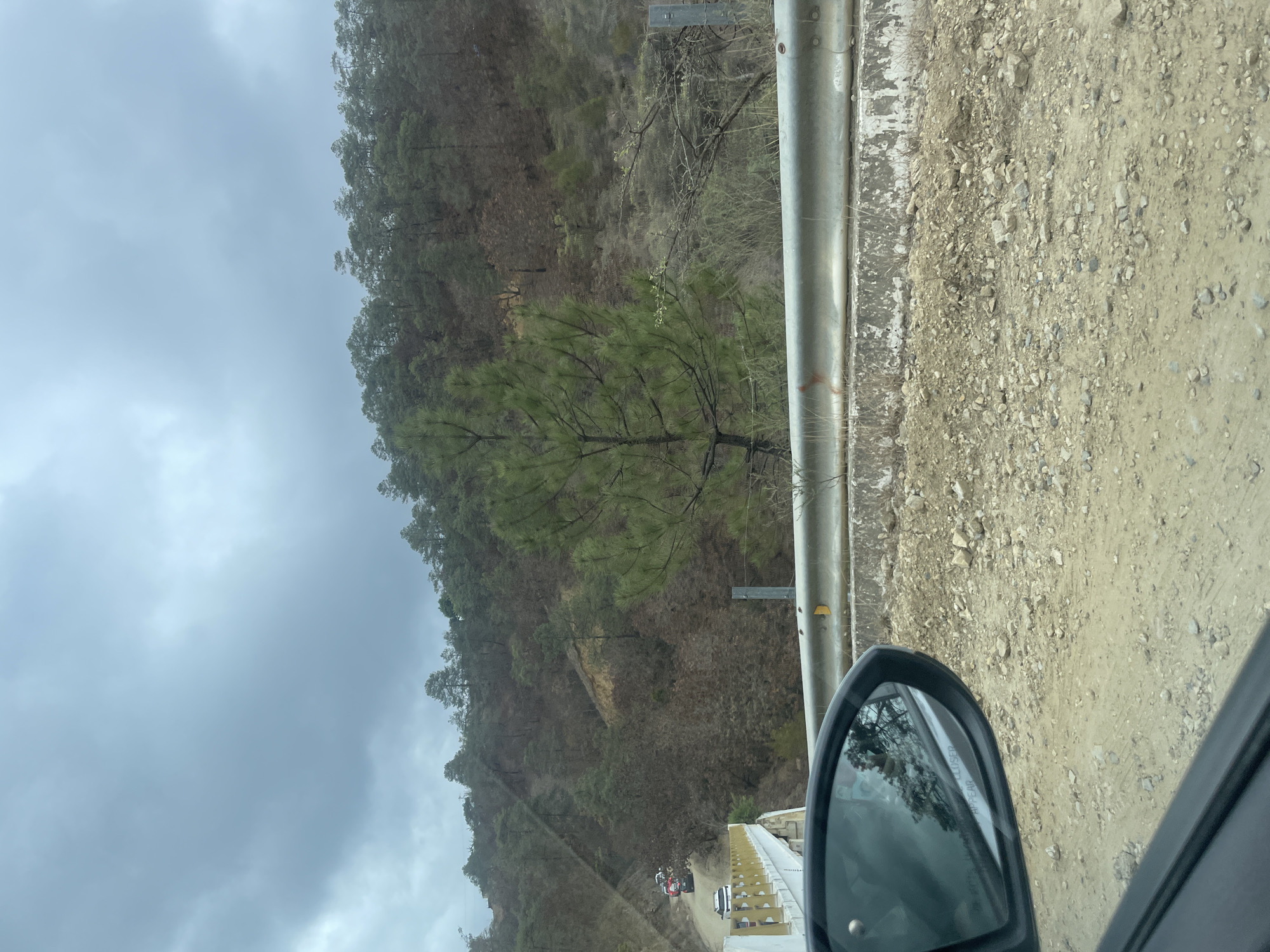 The image shows a view from inside a car, possibly driving along a road in a mountainous or hilly area. The foreground includes the car's side mirror and part of the door frame. To the right, there is a metal guardrail and a dirt road or shoulder covered with gravel and small rocks. The main scene features a hillside covered with trees, predominantly green with some bare branches, suggesting a mix of deciduous and evergreen trees. The sky is overcast with heavy clouds, creating a diffused light. In the distance, down the road, there are vehicles and what appears to be a yellow bridge or structure with several small objects. The location may be La Cieneguilla, Mexico, based on the presence of mountainous terrain and the type of vegetation. There is no visible human activity beyond the suggestion of vehicles on the distant road.