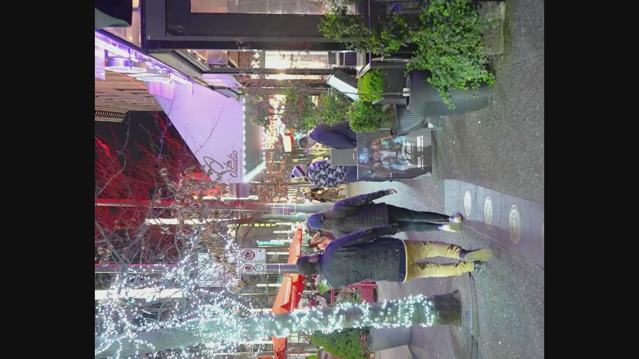 The image depicts a nighttime street scene in Vancouver, Canada, likely in the entertainment district given the presence of signage for "Studio Lounge & Nightclub." A young couple walks away from the camera on a wet, speckled sidewalk. The man wears a black puffer jacket, yellow pants, and black shoes, while the woman is in a black quilted jacket, black pants, and white sneakers. Behind them, another person in a patterned shirt and a beanie walks past. To the right, a man in a dark suit stands near a potted plant and a sign advertising "CAVO."
The street is lined with trees adorned with numerous white fairy lights, creating a festive atmosphere. The buildings on the right are illuminated with neon and bright lights, including the prominent "Studio" signage. A large awning extends over the sidewalk in front of the nightclub. Various potted plants and outdoor seating with orange umbrellas are visible in the background, suggesting an active urban environment. The ground appears wet, indicating recent rain.