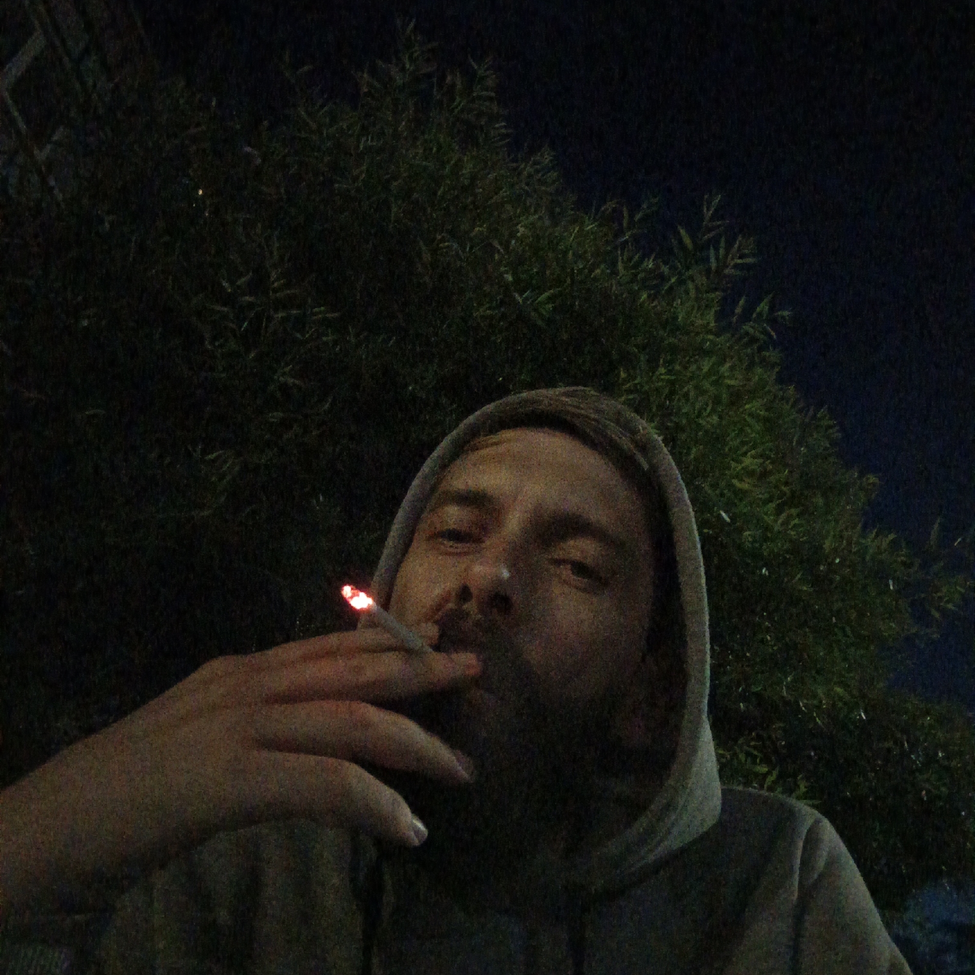 The image shows a close-up, low-angle, selfie-style shot of a person wearing a grey hooded sweatshirt. The person has light skin, short brown hair, and is holding a lit cigarette in their right hand, bringing it towards their mouth. The tip of the cigarette is glowing red. The background is dark, with the blurred green foliage of trees visible against a dark sky. The lighting is dim, suggesting it is nighttime. The scene is outdoors, with the presence of vegetation. There is no visible indication of the specific location within Марковский, Russia.