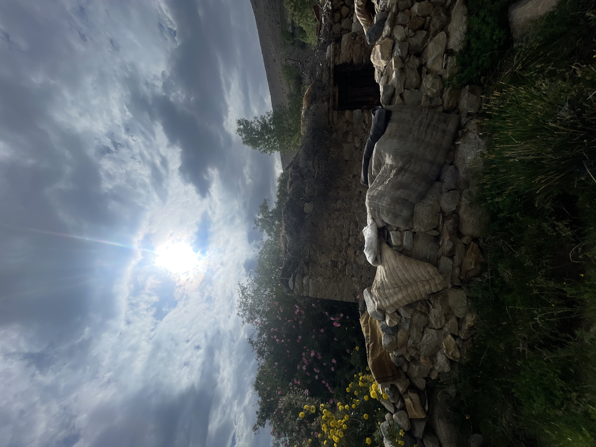 An image captures a rustic stone structure with a thatched roof, possibly an old dwelling, nestled against a backdrop of trees laden with pink flowers and yellow blossoms. The scene is set under a dramatic sky with heavy, grey clouds parting to reveal a bright sun with visible rays, creating a strong contrast of light and shadow. In the foreground, a low stone wall is visible, adorned with what appear to be rolled-up mats or blankets, giving it a makeshift and somewhat dishevelled appearance. The surrounding environment is overgrown with green grass and vegetation. The mountainous terrain behind the structure suggests a rural or remote location. While the exact location in Leh, India, is not definitively identified, the architectural style and vegetation are consistent with rural areas in the Himalayan region. There are no people or explicit actions depicted.