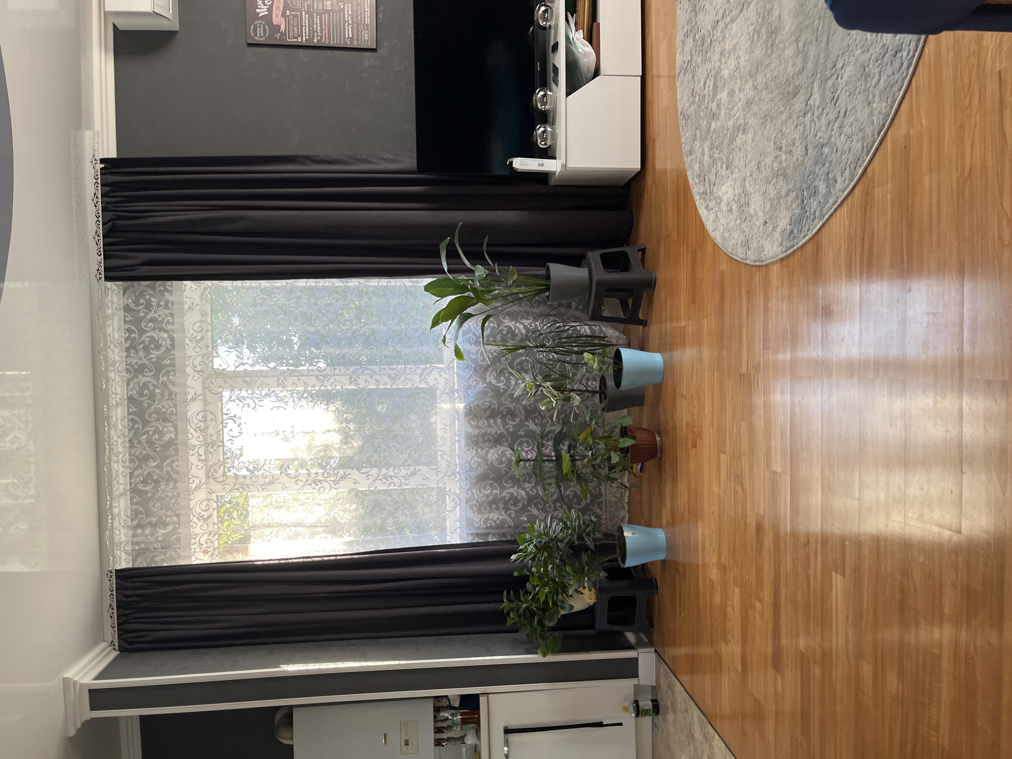 The image depicts an interior scene, likely a living room, with a large window covered by patterned lace curtains and dark drapes. Several potted plants are arranged on the floor and on small stands in front of the window. A television is mounted on a white media console to the right of the window. The flooring is polished wood. The overall impression is one of a well-lit, domestic space. No specific landmarks or features in the image definitively place the scene in Saratov, Russia.