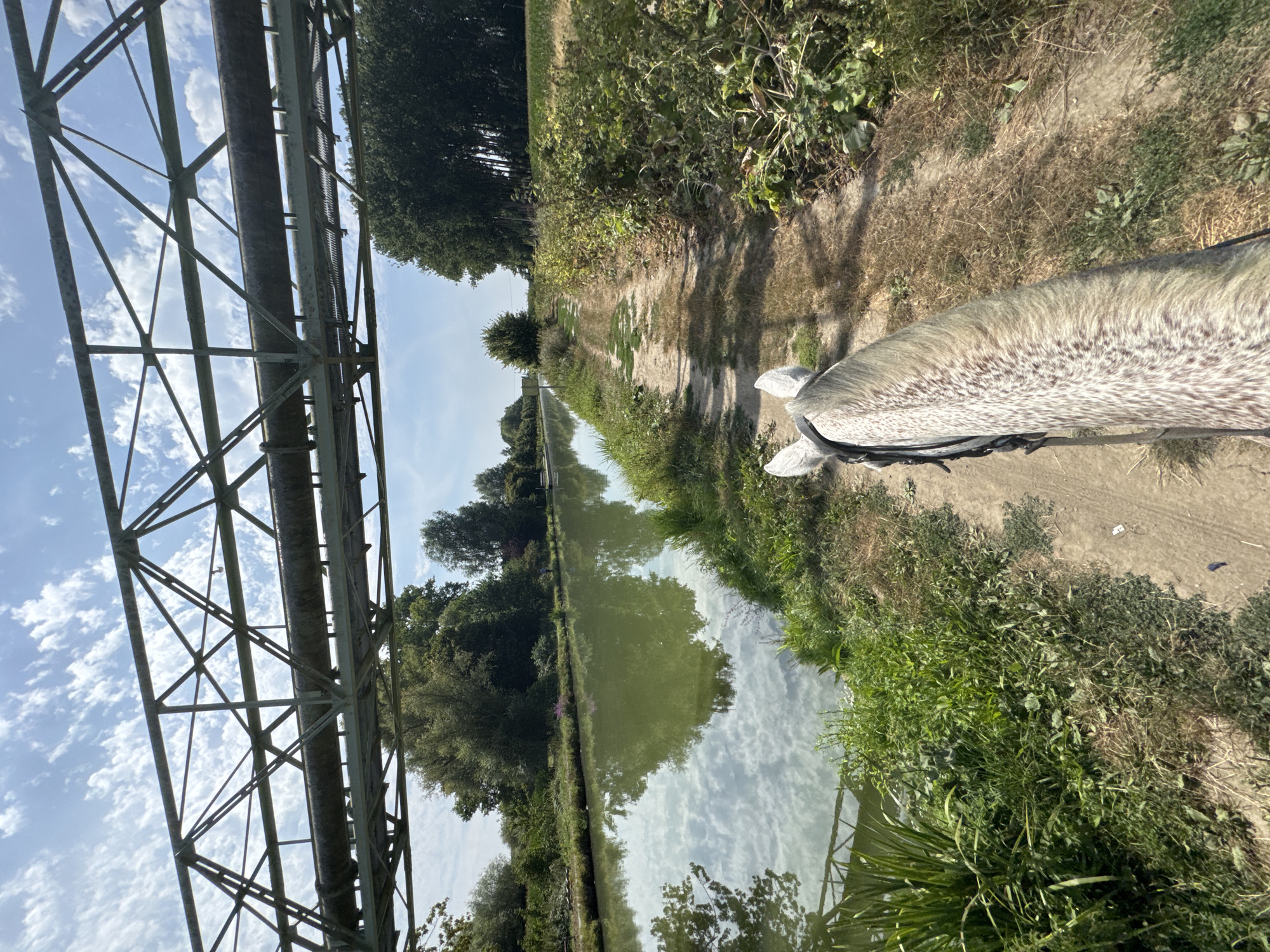 The image shows a first-person perspective of someone riding a horse along a dirt path next to a canal. Overhead, a large metal industrial bridge spans the canal. The bridge structure is made of green painted metal beams and supports a wide pipe running lengthwise. The canal water is calm and reflects the sky and surrounding trees. On the left side of the canal, lush green vegetation and trees line the bank. The path the horse is on is dusty with patches of dry grass and weeds. On the right side of the path, dense green foliage grows. In the distance, more trees and a clear blue sky with scattered white clouds are visible. The location is identified as a canal path in the municipality of Estaimpuis, Belgium.