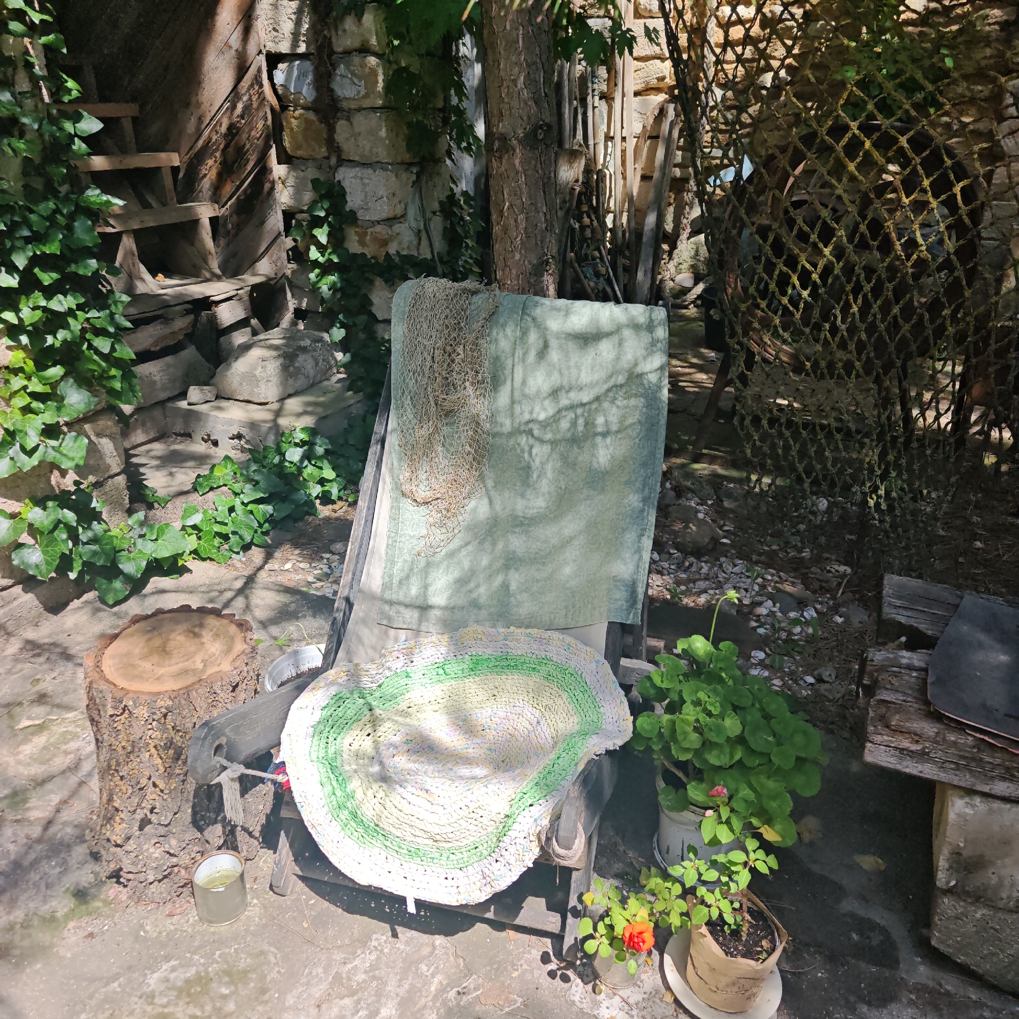 This outdoor scene, located in Останинское сельское поселение, Ukraine, depicts a rustic and shaded area with a central lounge chair and various natural and man-made elements. In the center, a dark-framed lounge chair is covered by a light green, subtly patterned fabric draped over its backrest. A light-colored, circular braided rug with concentric green stripes rests on the seat. A coarse, light-colored fishing net is draped over the left side of the chair and the fabric. To the left of the chair, in the foreground, is a substantial tree stump with a flat, smooth top. Adjacent to the stump, a silver metal can containing a light-colored liquid sits on the concrete ground. To the right of the chair, two potted plants are visible: a larger plant with numerous round green leaves in a white bucket, and a smaller plant with a single orange-red flower in a brown paper-wrapped pot placed on a white saucer.
The background features a variety of textures and structures. On the far left, a stone or concrete block wall is partially covered by dense green ivy. Behind this wall, a dark, weathered wooden structure with visible planks and steps suggests a shed or a dilapidated building. A thick tree trunk stands upright in the mid-ground, providing shade. To the right, another section of stone/block wall is visible, along with a large, dark, diamond-patterned net, possibly a camouflage or fishing net, stretched vertically. The ground transitions from concrete in the immediate foreground to a mix of dirt, small pebbles, and scattered light-colored shells in the mid-ground, where patches of ivy and other small plants grow. Sunlight creates distinct shadows across the ground and objects, indicating a daytime setting. No individuals or animals are present.
