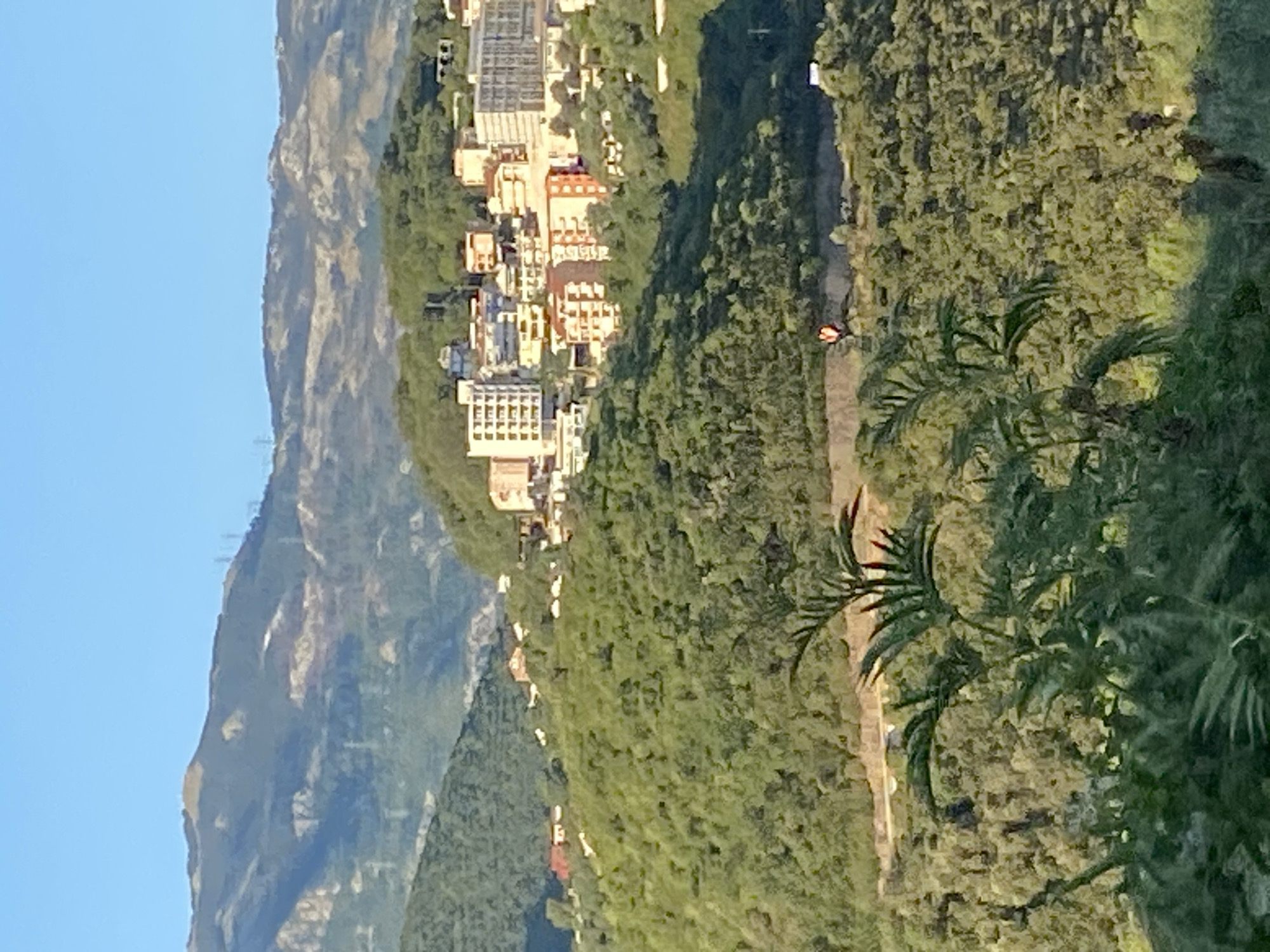 The image depicts a panoramic view of a town situated on a hillside in Dubraljevina, Montenegro. The foreground is dominated by lush green foliage, with a large, leafy plant in the lower center of the frame. Behind the foliage, the hillside slopes upwards, covered in dense green vegetation.
Further up the hill, a cluster of buildings forms the town. These buildings are of varying heights and architectural styles, with many appearing to be apartment complexes or hotels. They are painted in a range of colors, including white, yellow, and orange. Some buildings have visible windows and balconies. A road is visible winding through the hillside, with a small, orange object, possibly a vehicle or marker, on the road.
In the background, a mountain range rises steeply. The mountains are covered in a mix of dark green vegetation and lighter, rocky terrain, suggesting a rugged landscape. The sky above is clear and blue, indicating a sunny day. Power lines and pylons are visible on the mountain slopes in the distance. The overall scene conveys a sense of a Mediterranean coastal town nestled within a mountainous environment.