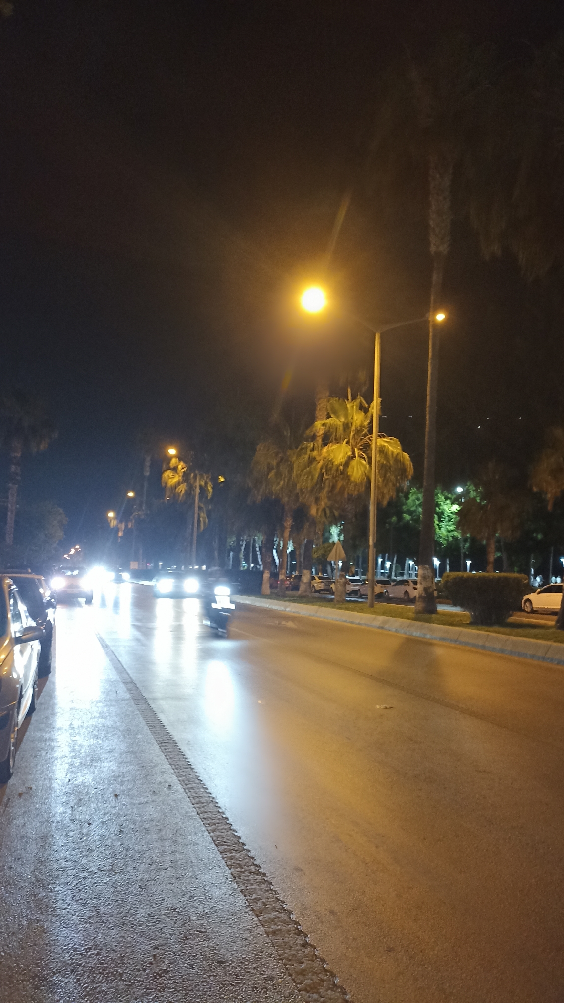 The image presents a nighttime scene on a wet street, likely in Yenişehir, Turkey. The road, which appears to have recently experienced rain, reflects the bright yellow-orange light from numerous streetlights and the intense white beams of oncoming car headlights. This creates a dazzling array of reflections and light streaks across the asphalt.
Palm trees are a dominant feature, lining both sides of the road and populating a central median strip. Their fronds are illuminated by the warm glow of the streetlights, casting a golden-green against the dark sky. Several vehicles are visible: a partially seen car parked on the far left, multiple cars with bright headlights approaching in the distance, and a motion-blurred motorcycle or scooter on the right side, heading away from the viewer.
The streetlights themselves, featuring prominent yellow-orange globes, are mounted on tall poles along the median. The wet surface of the road enhances the luminosity of the scene, contributing to a vibrant and dynamic urban atmosphere after dark. There is no visible text in the image.