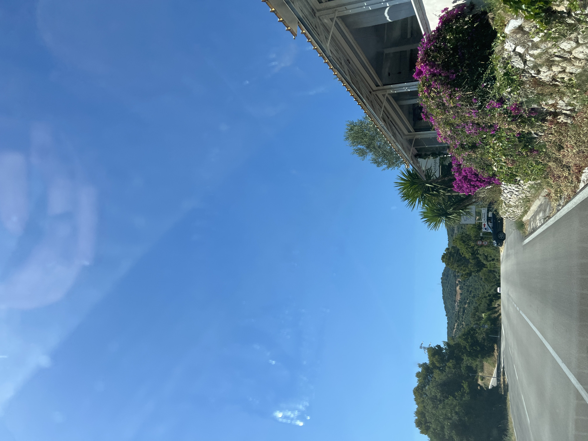 A road in Mattinata, Italy, passes by a building with a white roof and large windows, bordered by lush greenery and vibrant purple flowers. The road is paved and has white lane markings. On the left side of the road, a dense green forest stretches towards rolling hills in the distance. The sky above is a clear, bright blue with a few wispy clouds. A black car is parked on the right side of the road. The scene suggests a sunny day in a scenic, coastal region.