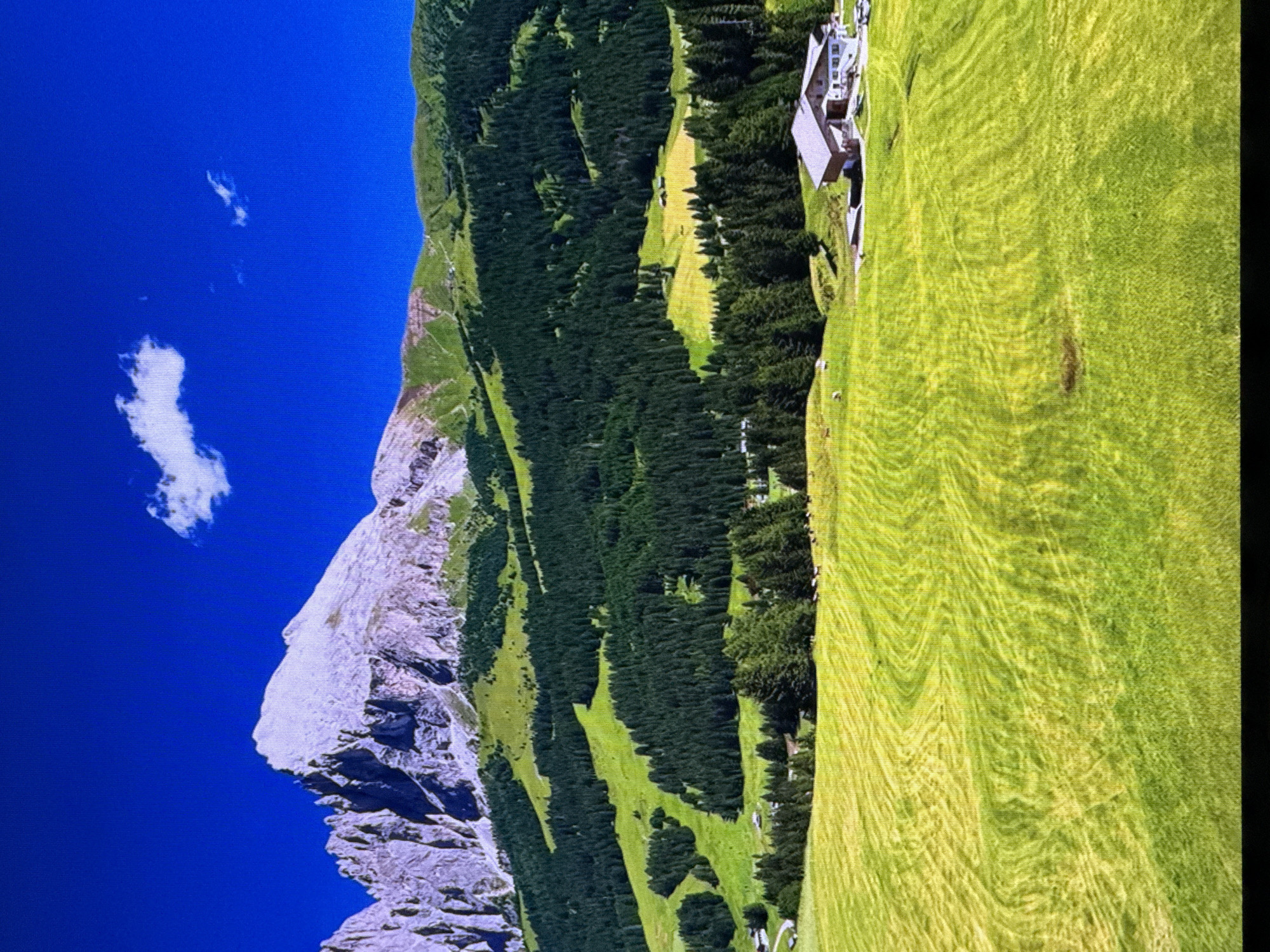 This is a high-angle, wide shot of a mountain landscape under a clear blue sky. In the foreground, a vast, undulating green meadow is visible, with patterns suggesting recently cut grass. In the middle ground, a dense forest of dark green pine trees covers the slopes of rolling hills. Further back, a majestic mountain range with rocky, snow-capped peaks dominates the background. The sky is a vibrant, cloudless blue with a single white cloud drifting high above the mountains. A cluster of buildings, appearing to be a lodge or a small village, is nestled on the lower slopes of the mountain. There are no people visible in the image, and the overall impression is one of a serene and natural alpine environment. This image is not located in Dubai, United Arab Emirates, as it depicts a mountainous region inconsistent with the geography of Dubai.