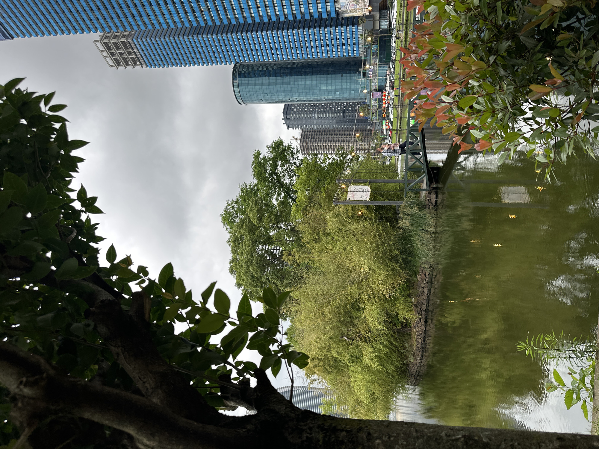 The image captures a serene view of a small island with dense green foliage in the foreground, reflecting in a calm body of water. A narrow wooden bridge extends from the left bank to the island, with a person standing on it. Beyond the island, a cluster of modern high-rise buildings, characteristic of Batumi, Georgia, dominates the skyline under a cloudy sky. The architecture of the buildings, particularly the prominent blue-clad structures, suggests a contemporary urban setting. Lush trees and vegetation frame the scene, adding a natural contrast to the urban backdrop. The water's surface is disturbed by ripples, and the reflections of the surrounding trees and buildings create an abstract pattern.