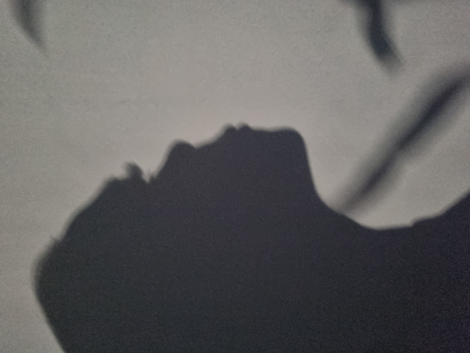 The image presents a close-up, monochromatic photograph focused on shadows cast upon a light-colored, subtly textured surface, likely a wall. The prominent subject is a dark silhouette of a human head and upper body in profile, positioned in the lower-left and central parts of the frame. The profile faces towards the upper right, exhibiting a distinct facial outline that conveys a sense of calm or contemplation, with the head tilted slightly upwards.
In the upper-right and upper-left corners, fainter, elongated shadows resembling natural elements like tree branches or other linear forms are also visible, contrasting with the main human shadow. The sharp definition of the shadows suggests a strong, singular light source, such as direct sunlight or an artificial light. The overall mood of the image is quiet and artistic, emphasizing the interplay of light, shadow, and form. There is no visible text within the image. While the location context of Kemul, Russia, is provided, the image itself does not contain any discernible geographical cues specific to that location.