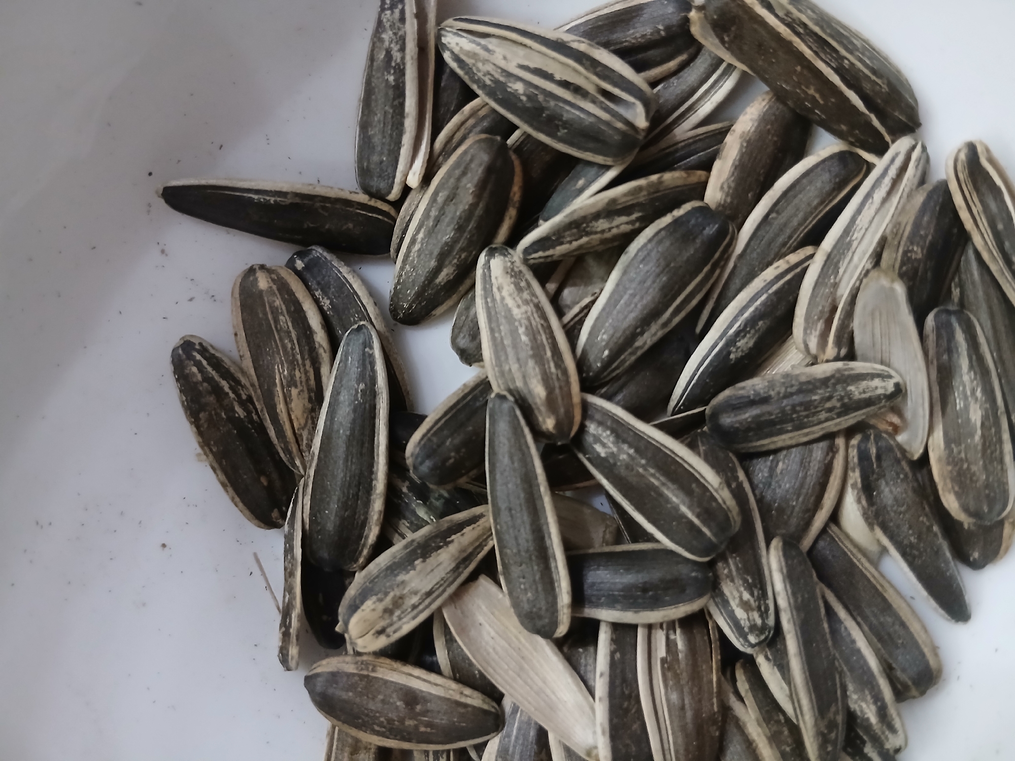 A pile of striped sunflower seeds is shown in a close-up, overhead shot. The seeds are elongated and have a black and white striped pattern on their hulls. They are piled on a white surface, likely a bowl or plate. The lighting is bright, casting some shadows on the seeds. The image is focused on the seeds, with the background being slightly out of focus.
