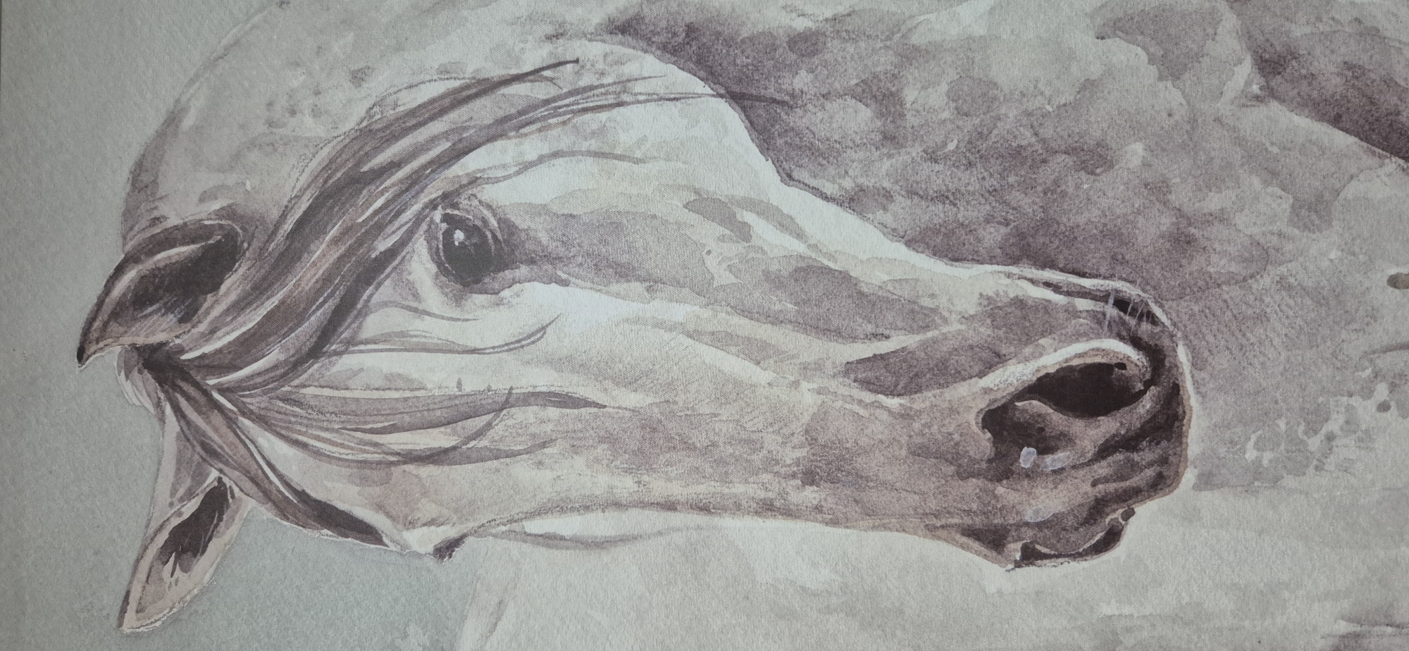 The image is a watercolor painting of a horse's head. The horse is depicted in profile, facing left. It has a light-colored coat with darker shading around the eyes, nostrils, and mane. The mane is flowing and dark. The background is a soft, muted gray-blue. The painting style is expressive, with visible brushstrokes and a watercolor wash effect. There are no people or specific environmental details that would suggest a location in Navaluenga, Spain. The image is a close-up of the horse's head and does not provide any context about its surroundings or origin.