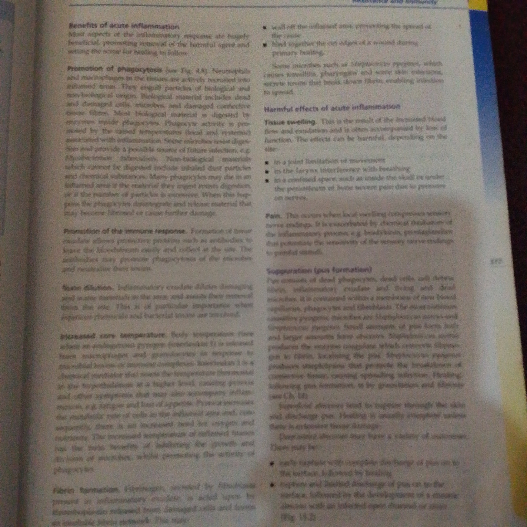 The image is a close-up, slightly blurry, overhead shot of an open book with text related to biological inflammation. The book is likely a textbook or reference material, as indicated by the scientific terminology and section headings.
The prominent subjects are the printed words on the pages. The text discusses "Benefits of acute inflammation" and "Harmful effects of acute inflammation," detailing processes like "Promotion of phagocytosis," "Promotion of the immune response," "Tissue swelling," and "Suppuration (pus formation)." There are also bullet points listing specific negative outcomes of inflammation.
The scene is the interior of the book, with text filling the majority of the frame. The lighting appears to be from overhead, casting a slight shadow that contributes to the blurriness. The paper has a yellowish tint, suggesting it might be aged or the lighting conditions are affecting the color balance.
Notable details include specific medical terms like "Neutrophils," "macrophages," "phagocytes," "exudate," "cytokines," "pyrogens," and "streptococci." There are also references to figures, such as "(see Fig. 4.8)" and "(Fig. 15.2)". A page number, "172," is visible on the right side of the image.
There is no indication of people, objects other than the book, specific weather, time of day, or location cues within Jalingo, Nigeria, as the image is focused solely on the printed content of the book. The text itself is factual and scientific, conveying information rather than emotions.