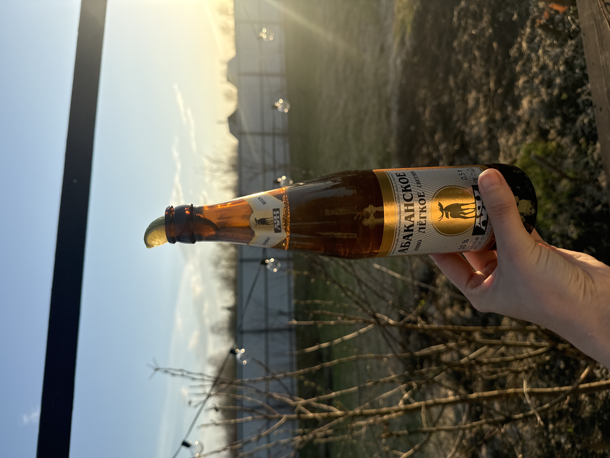 A bottle of Russian beer called "Abakanskoe," with a slice of lime placed on the opening, is being held up against an outdoor scene. The label indicates that it is produced in the city of Abakan, located in the Republic of Khakassia. The beer is held at a slight angle by a fair-skinned hand. The background shows a fence, some barren trees, and a sky transitioning from blue to a hazy yellow-orange due to the setting or rising sun. Given the reference to "Emel'yanovo, Russia," it's possible this photograph was taken near or in that location, but without further visual evidence, that is not ascertainable.