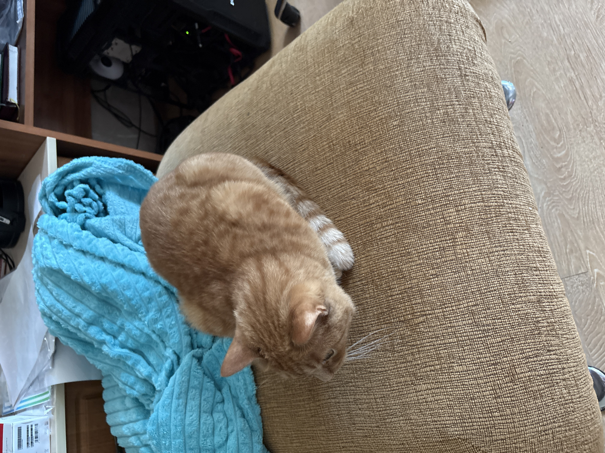 The image shows a ginger cat resting on a brown upholstered surface, possibly a chair or sofa arm. The cat's head is turned slightly away, showing its ear and white whiskers. Part of its tail, striped with white, is also visible. Next to the cat, there is a folded, light blue, textured blanket. To the left of the blanket is a shelf with miscellaneous items. Above the shelf, there appears to be electronic equipment with visible cables. The background shows a light-colored wooden floor. The location and specific city of Unknown, Unknown cannot be determined from the provided image.