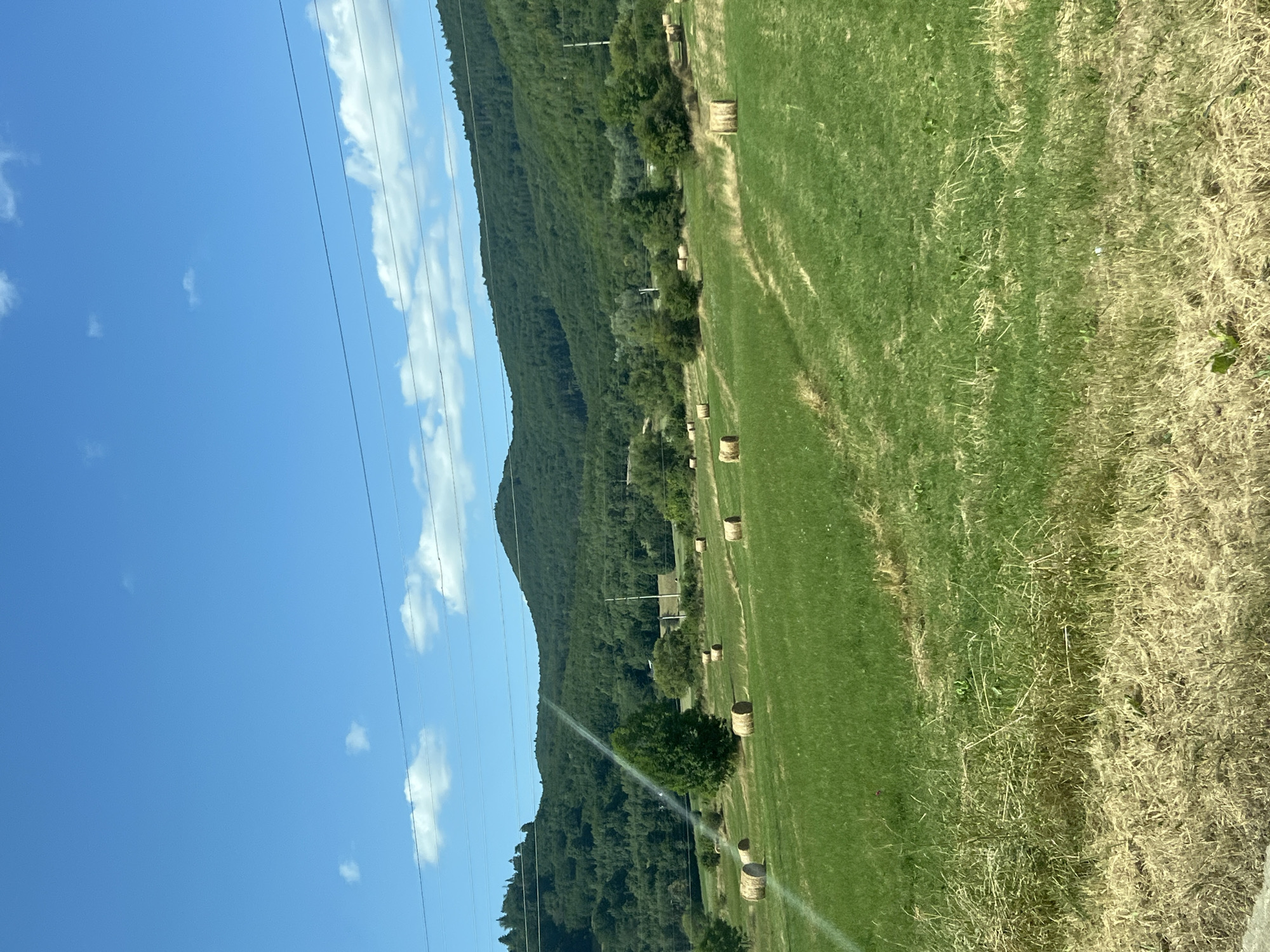The image depicts a rural landscape under a bright blue sky with scattered white clouds. In the foreground, a field of green grass transitions to drier, golden grass on the left. Several round bales of hay are scattered across the field. Beyond the field, a dense forest covers rolling hills, with a few trees dotting the mid-ground. Power lines stretch across the upper portion of the image. The scene appears to be a natural landscape, likely in or near the city of Gura Humorului, Romania, given the context provided. No people or animals are visible in the image.
