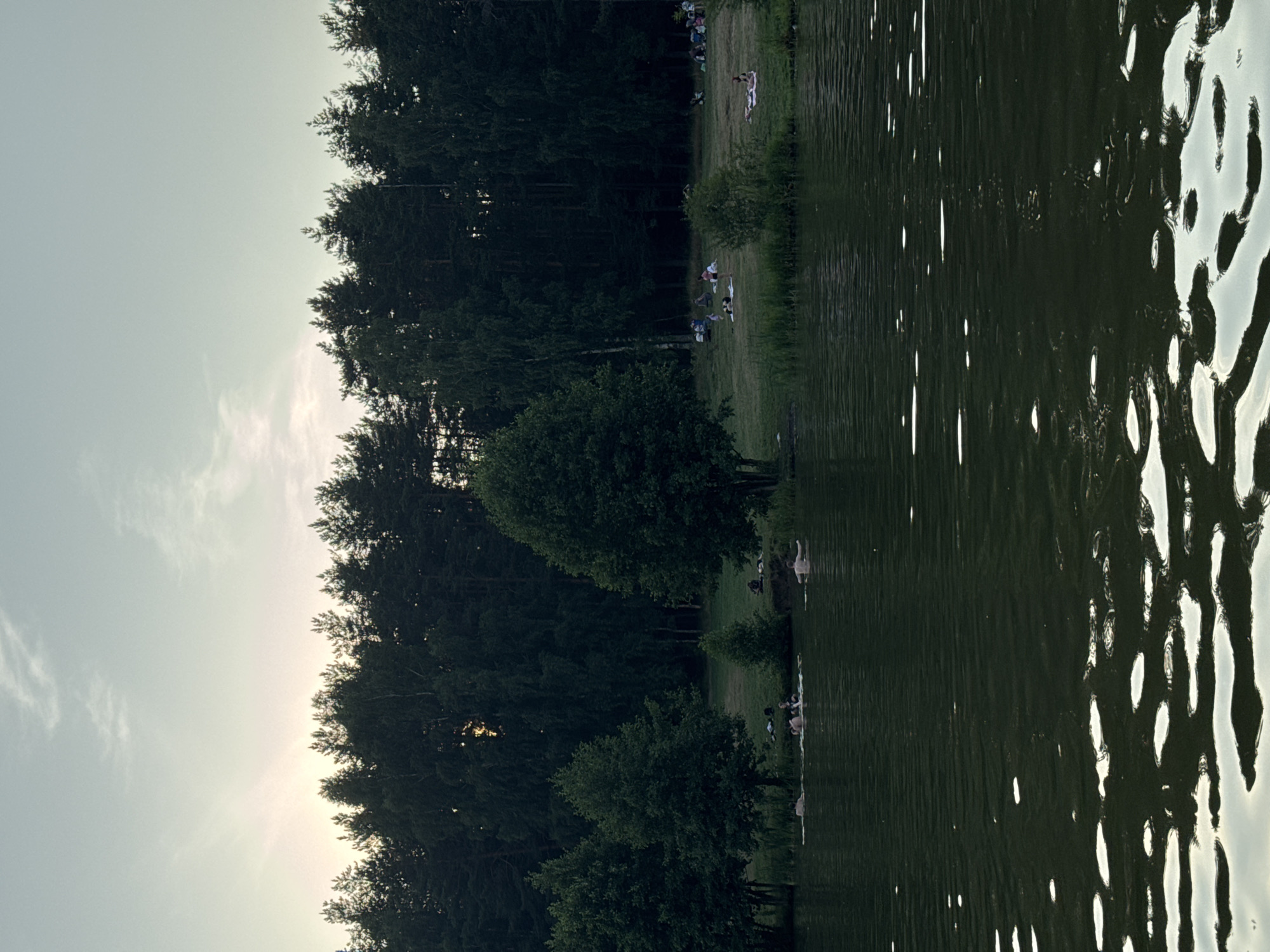 This image depicts a natural landscape scene, likely a park or recreational area, bordering a body of water. The foreground is dominated by the dark, rippling surface of a lake, reflecting the dimming sky and dappled light. In the middle ground, several people are visible in the water, some swimming and others wading. Along the bank of the lake, a grassy area is populated by numerous individuals, many lying on blankets or sitting, suggesting a leisurely outing. A dense forest of tall, dark trees forms the background, with the sky above appearing pale and overcast, hinting at twilight or a cloudy day. While the image captures a peaceful outdoor scene, there is no specific visual information within the image that allows for the identification of the location as being in the city of Ivanovo, Russia.