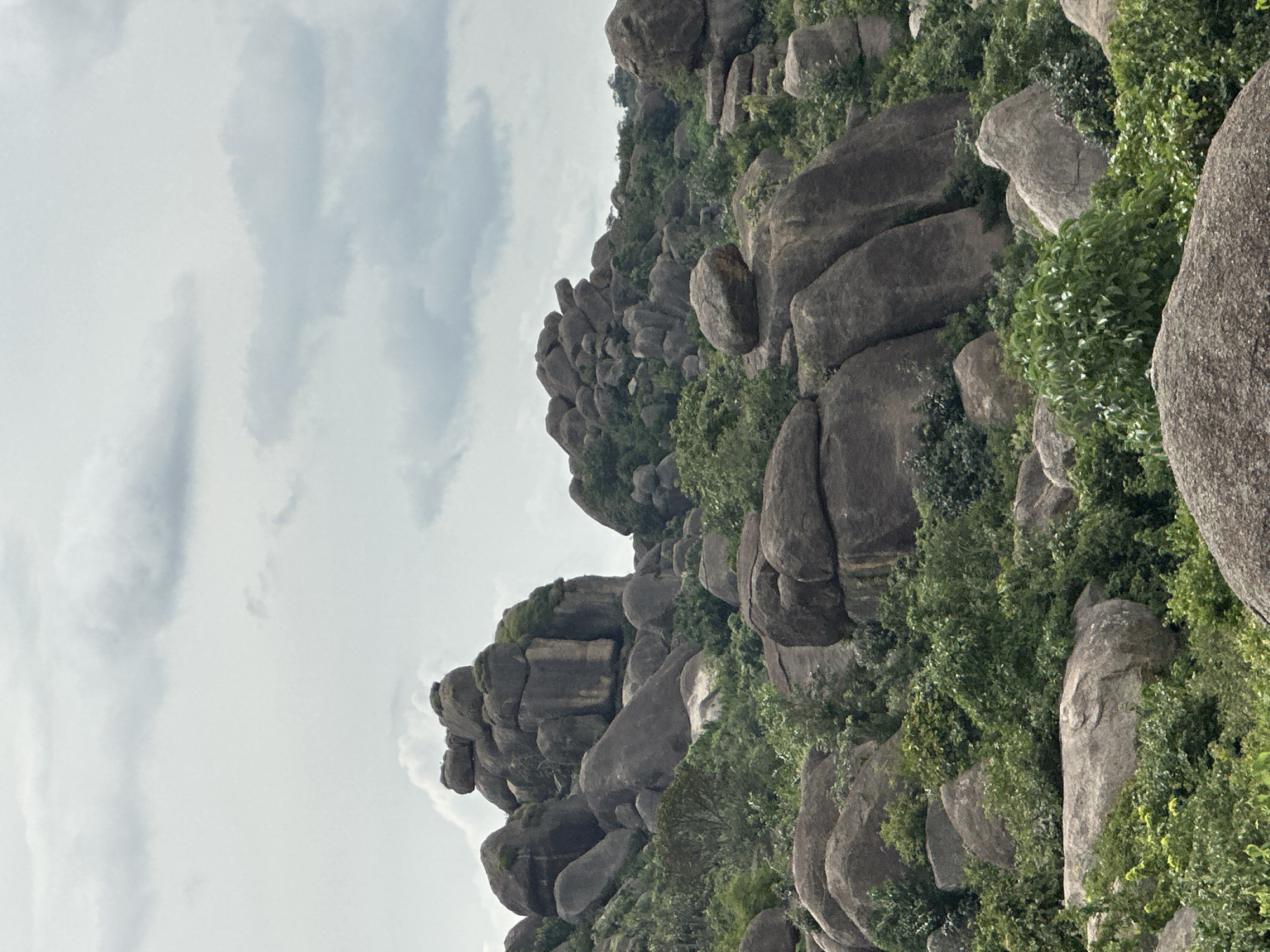 This image captures a natural landscape dominated by large, weathered boulders and lush green vegetation. The boulders are a prominent feature, scattered across the terrain and forming rocky outcrops. Some of these rocks are massive, with rounded or irregularly shaped surfaces, and they are interspersed with dense foliage, including trees and bushes. The sky above is overcast with clouds, suggesting a diffused light condition. The scene is devoid of any human presence or man-made structures, presenting a raw, untamed natural environment. It is a view of the natural rocky hills and vegetation typical of the area surrounding Nabatum, Nigeria.