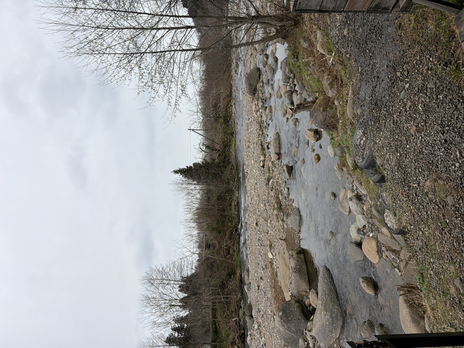 The image displays a wide-angle, static view of a shallow, rocky river flowing through a natural environment in Tsinsvla, Georgia, under an overcast sky. The river occupies the middle ground, its clear water revealing numerous grey and brown boulders and smaller stones on the riverbed. Extensive gravel and exposed rock bars are visible throughout the river's course.
The far bank of the river is densely vegetated with a mix of deciduous trees, predominantly bare, and a few evergreen coniferous trees, suggesting a winter or early spring season. A power line with utility poles traverses horizontally above the vegetation on the far bank. The immediate foreground, on the right side, consists of a gravelly slope interspersed with sparse green grass and larger rocks leading down to the water. Two dark, circular objects, consistent with discarded tires, are partially visible on this slope. A dark wooden structure, appearing to be part of a fence or enclosure, is present on the extreme right edge of the frame. No individuals, animals, or vehicles are present.