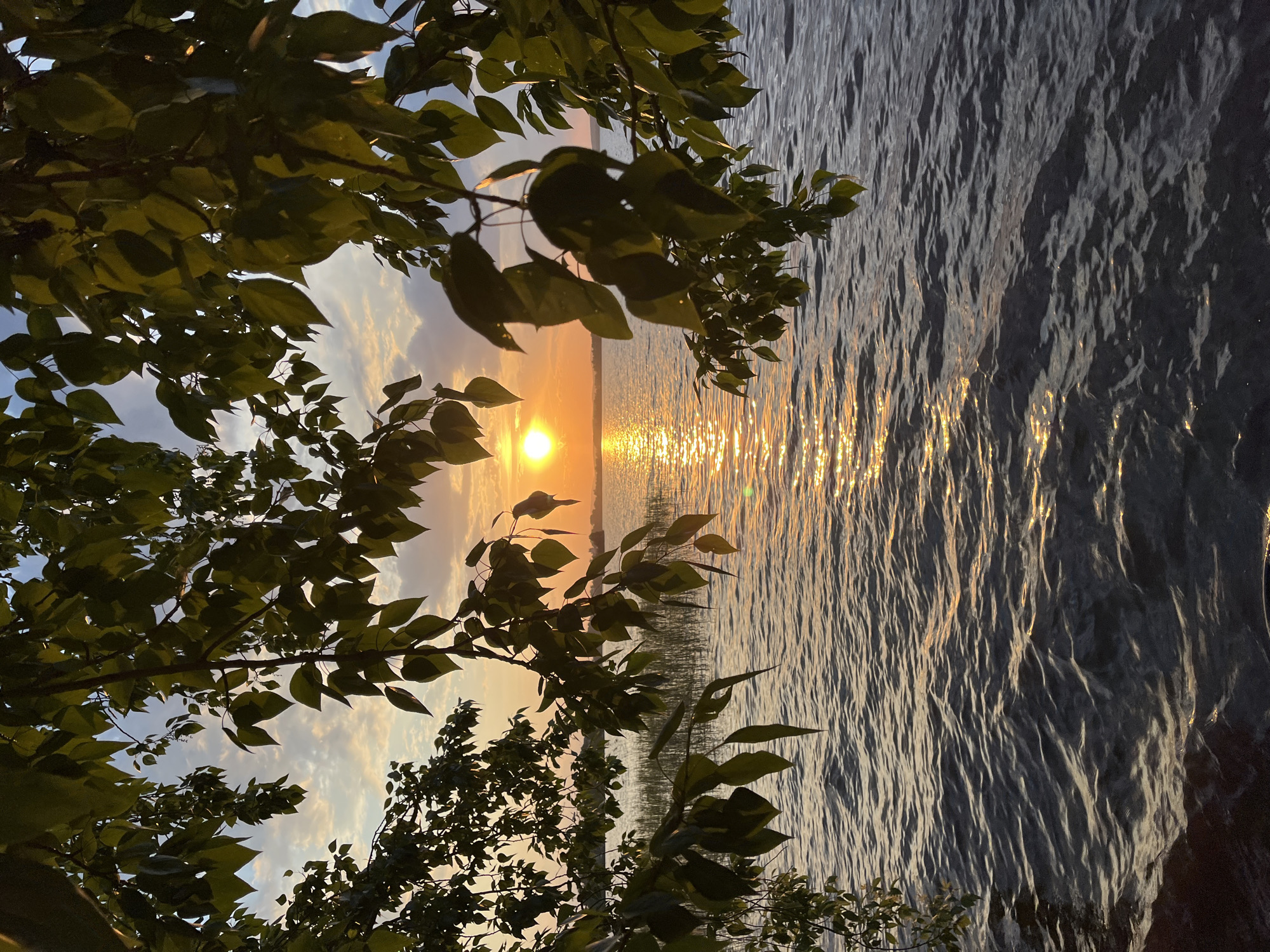 A sunset view through tree branches over a body of water. The sun is setting over the water, reflecting light across the surface. The location is potentially a body of water within or near Yekaterinburg, Russia, with foliage along the shoreline. No people are visible.