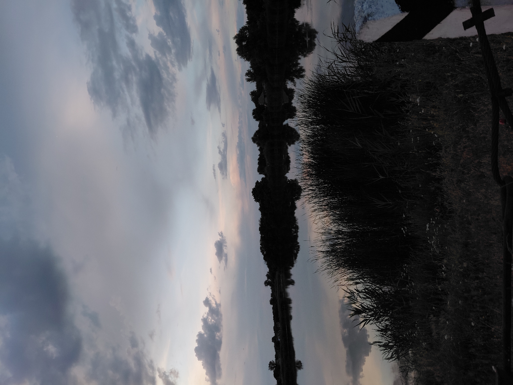This is a vertical, slightly overexposed, nighttime photograph of a tranquil lake or river with a reflective surface. The sky occupies the upper portion of the image and is filled with dramatic, dark clouds, suggesting a stormy or overcast evening. The clouds are a mix of deep grays and lighter, almost pastel hues, indicating the last light of dusk or dawn.
The water's surface perfectly mirrors the sky and the landscape on the opposite bank. The reflection shows a dense line of silhouetted trees and vegetation, creating a dark, sharp contrast against the lighter sky. The shapes of the trees are elongated and distorted in the water, adding an ethereal quality to the scene.
On the right side of the frame, a dense mass of dark reeds or tall grasses fills the foreground, obscuring any details within the vegetation itself. A dark, vertical pole, possibly a fence post or part of a structure, is visible on the far right edge of the image, with a rough rope or cable attached to it.
The overall mood of the image is serene and somewhat mysterious, possibly evoking a sense of solitude or contemplation. The lighting suggests it is either early morning or late evening, with the low light casting long shadows and obscuring finer details. No people or specific text are visible in the photograph. The location appears to be a natural setting with a body of water bordered by vegetation.