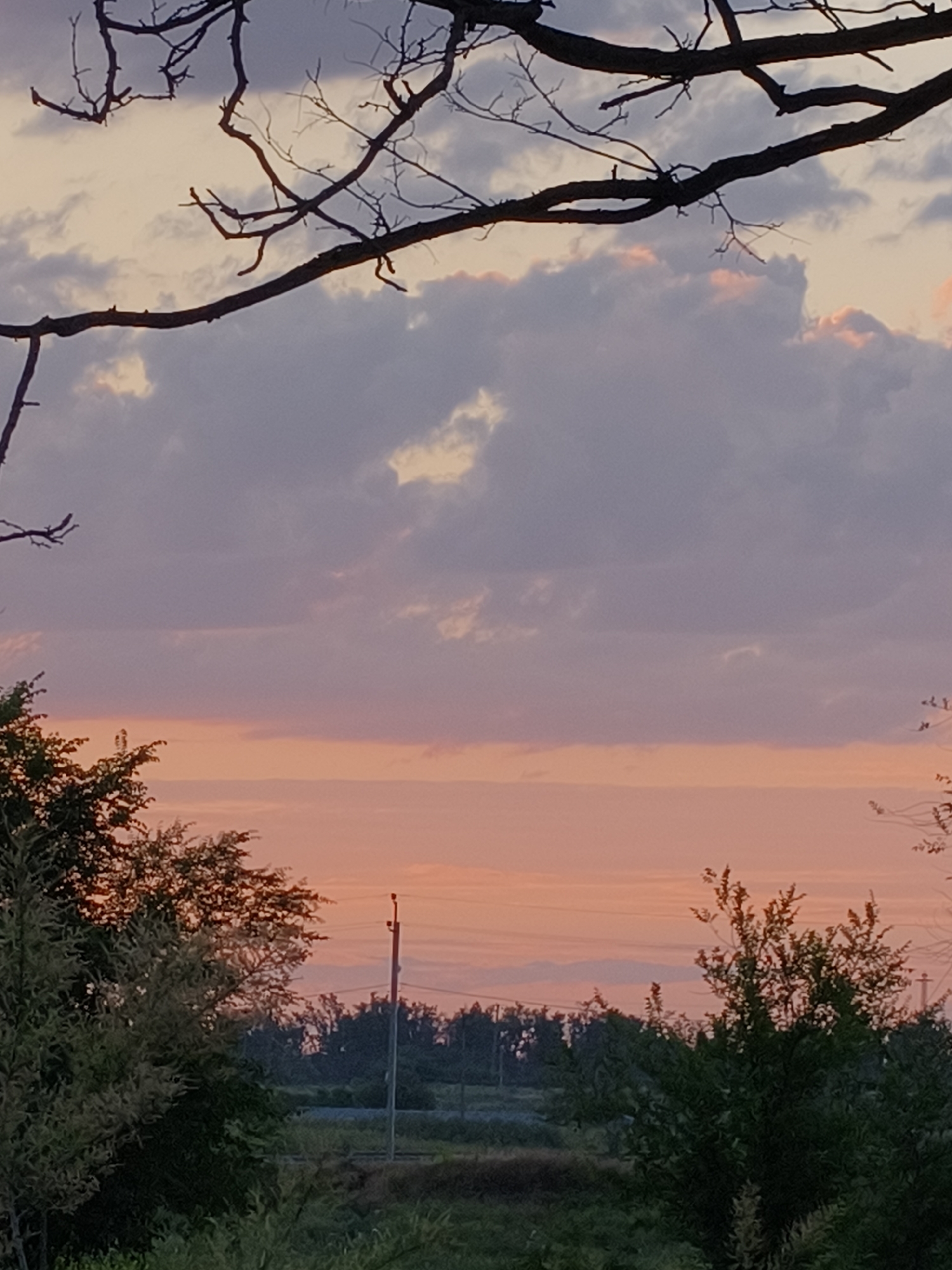 A rural scene at dusk features a gradient of pastel colors in the sky, ranging from pale pink near the horizon to muted purple and grey clouds higher up. Silhouetted tree branches frame the top of the image. In the middle ground, a line of trees and vegetation forms a dark band across the landscape, with a solitary utility pole visible. The foreground is dominated by dense green foliage. The image is taken from a vantage point overlooking a semi-rural or outskirt area, possibly in Kryvyi Rih, Ukraine, given the presence of a utility pole and the overall naturalistic setting. There are no people visible in the image.