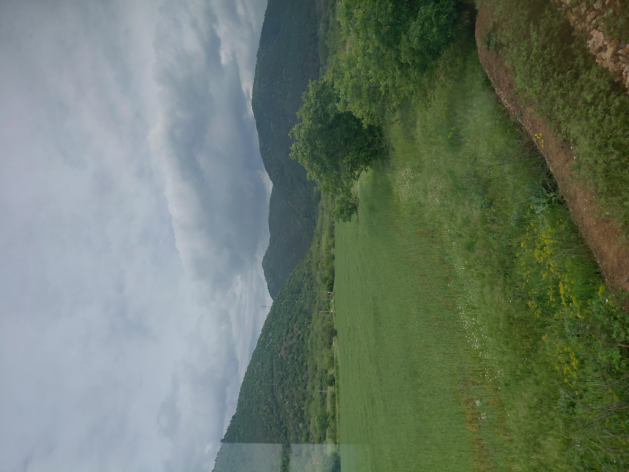 The image captures a landscape near Dabovo, Bulgaria, on a cloudy day. Mountains rise in the background, their slopes covered in dense green vegetation. A vast field of vibrant green grass dominates the foreground, dotted with wildflowers. The right edge of the field meets a dirt path bordered by rocks and foliage. The sky is filled with heavy, grey clouds, suggesting an overcast or potentially stormy weather. Power lines are visible traversing the lower portion of the hillside, indicating human infrastructure in the natural setting. The lower left corner has some reflection on the glass that reveals the image has been taken through a window.