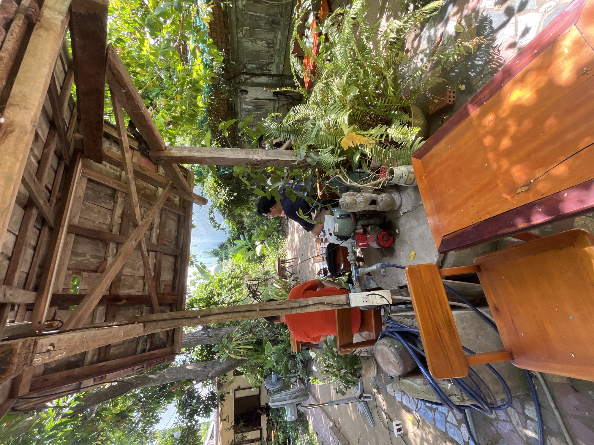This outdoor scene in Đà Nẵng, Vietnam, depicts a shaded, rustic garden or cafe area on a sunny day. A wooden pergola constructed from unpainted timber beams and rafters forms the overhead canopy, with some metal hardware visible on the underside.
In the immediate foreground, a reddish-brown wooden chair with a solid back faces away from the viewer, positioned centrally. To its right, a similarly colored wooden table with dark red trim occupies the lower right quadrant, displaying surface wear. The ground is a mix of irregular grey stone pavers, dirt, and concrete patches. A coiled blue hose, a dark ceramic pot, and a white electrical power strip are situated on the ground near the foreground chair.
Three individuals are seated in the midground beneath the pergola. A man in an orange t-shirt is seated with his back to the viewer, positioned to the left of a primary wooden support post. To the right of this post, a man in a dark t-shirt is partially visible, facing right, seated at a small wooden table. A third person, wearing a dark top, is partially obscured behind the second man, also seated at the table where multiple glasses containing an amber liquid and ice are present.
To the left, two grey standing fans are visible; one appears to be operational. A red pump unit is on the ground to the right of the orange-shirted man. Electrical wires and a white outlet box are attached to the central wooden support post. The area is heavily vegetated with lush green plants, including a large fern in a pot to the right and various smaller potted plants. Two white lion statues flank a pot containing dried plant stems near the rightmost seated person.
The background features a white building with multiple windows and outdoor light fixtures to the left. To the right, a textured grey concrete wall is partially covered by climbing vines. Numerous trees provide additional natural shade, and dappled sunlight illuminates various ground sections throughout the scene.