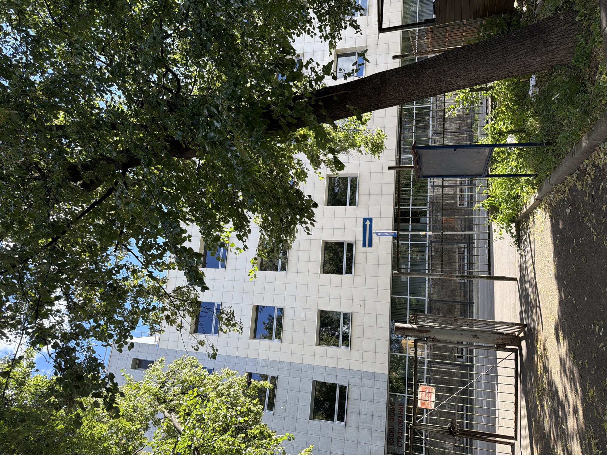 The image depicts the facade of a modern, multi-story building with a light-colored tile exterior. The building has a grid of rectangular windows. In the foreground, a large tree with dense green foliage partially obstructs the view of the building and the sky. A section of an open metal gate is visible on the left, with a warning sign attached to it. A street sign with a blue arrow indicating direction is mounted on a pole in front of the building. A bulletin board stands to the right of the gate. The ground is paved and strewn with fallen leaves. The scene appears to be an outdoor urban setting during the daytime, likely in Moscow, Russia, given the Cyrillic text on the signage that reads "КАСКО ОСАГО СТРАХОВАНИЕ," which translates to "Hull Voluntary Insurance Compulsory Third-Party Liability Insurance."