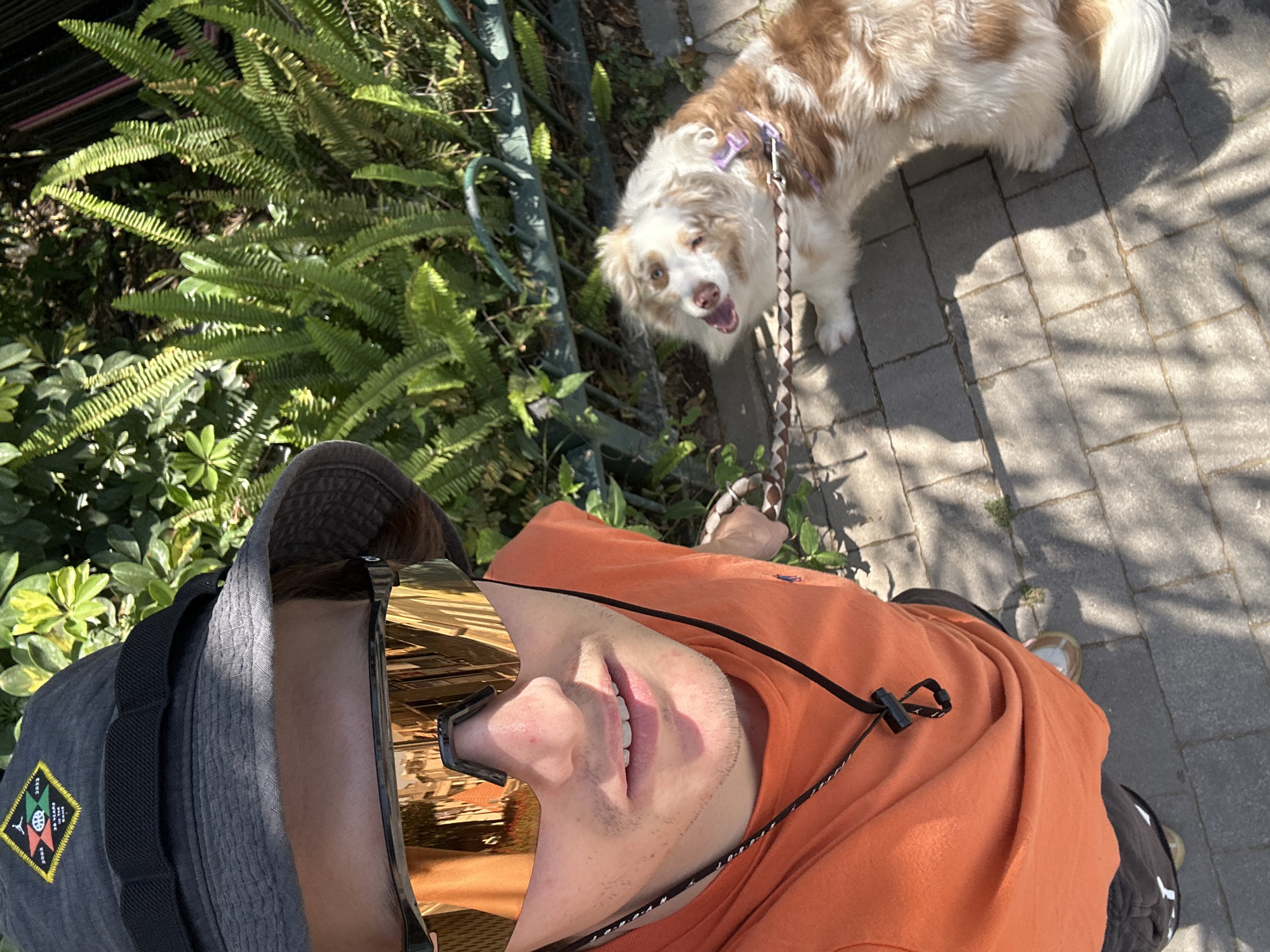 A bright, high-angle selfie captures a person walking outdoors with their dog on a sunny day in Ramat Gan, Israel.
The main subjects are a person and a dog. The person, viewed from a high-angle perspective, is smiling with teeth visible and wearing an orange short-sleeved top, a dark grey bucket hat, and large, reflective gold visor sunglasses. A black bag strap with a diamond-shaped patch is visible on their left shoulder. The patch features the text "2023", "20 YEARS", and "GAME" with a stylized logo in the center, rendered in yellow, black, green, and white. The person is holding a braided leash.
The dog, a medium-sized breed with white and reddish-brown patchy fur, possibly a Border Collie or similar, looks up at the camera with its mouth open, appearing happy or panting. It wears a light purple collar and is attached to the braided leash held by the person.
The setting is an outdoor paved path, likely a sidewalk, made of light grey interlocking pavers. To the left, there's a vibrant green border of ferns and other foliage, separated from the path by a dark metal fence. Strong sunlight casts clear shadows of the person, dog, and potential overhead elements onto the ground, indicating it is daytime with bright, clear weather. Both the person and the dog appear to be in good spirits.