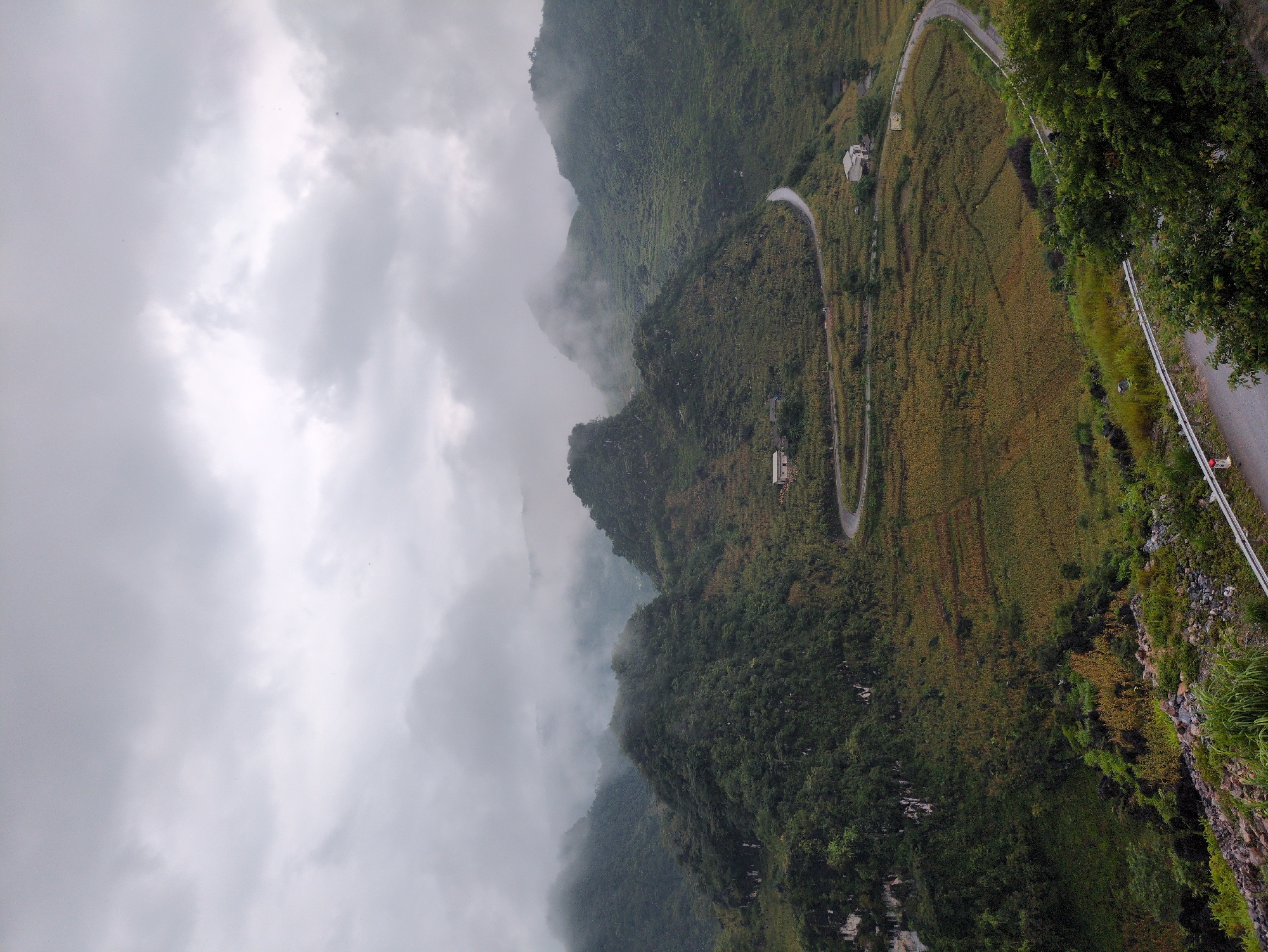 This image shows a scenic view of the mountainous landscape of Lũng Phìn Commune, Vietnam, under a cloudy sky. A winding asphalt road snakes through the hills, bordered by a metal guardrail and lush green vegetation. Terraced fields, likely planted with crops, are visible on the slopes, varying in color from green to a golden-brown hue, indicating different stages of growth or harvest. Several small, white houses are sparsely dotted along the hillsides and near the road. The mountains themselves are covered in dense green forests, with some peaks partially obscured by low-lying clouds and mist, creating a dramatic and atmospheric effect. The overall impression is one of rural tranquility and the majestic beauty of the Vietnamese highlands.