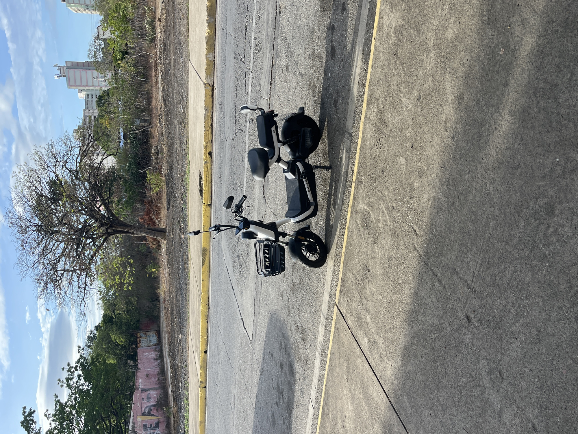 The image, rotated 90 degrees clockwise, captures an outdoor scene, likely in Juan Griego, Venezuela, under clear, sunny conditions.
The primary subject is a white and black electric scooter, resembling a moped, parked on an asphalt road. The scooter features a black, open-front basket mounted on its handlebars and has a "QUEEN" logo visible on its side panel. It appears unoccupied and stationary.
The road is made of asphalt, showing signs of wear and cracking, with faded yellow lines marking its edge and possibly a parking area. A concrete sidewalk with a distinct yellow curb runs alongside the road. Beyond the sidewalk, a strip of dry earth gives way to a dense area of trees and shrubs, some with bare branches and others covered in green foliage, suggesting a mix of vegetation types.
In the background, beyond the trees, several multi-story buildings with light-colored facades are visible against a bright blue sky dotted with scattered white clouds. Some buildings appear to have antennas on their rooftops. A partially obscured wall, showing some faint, illegible graffiti, is also visible in the mid-distance. Strong sunlight casts distinct shadows, indicating it is likely mid-morning or early afternoon. No people or specific activities are depicted in the scene.