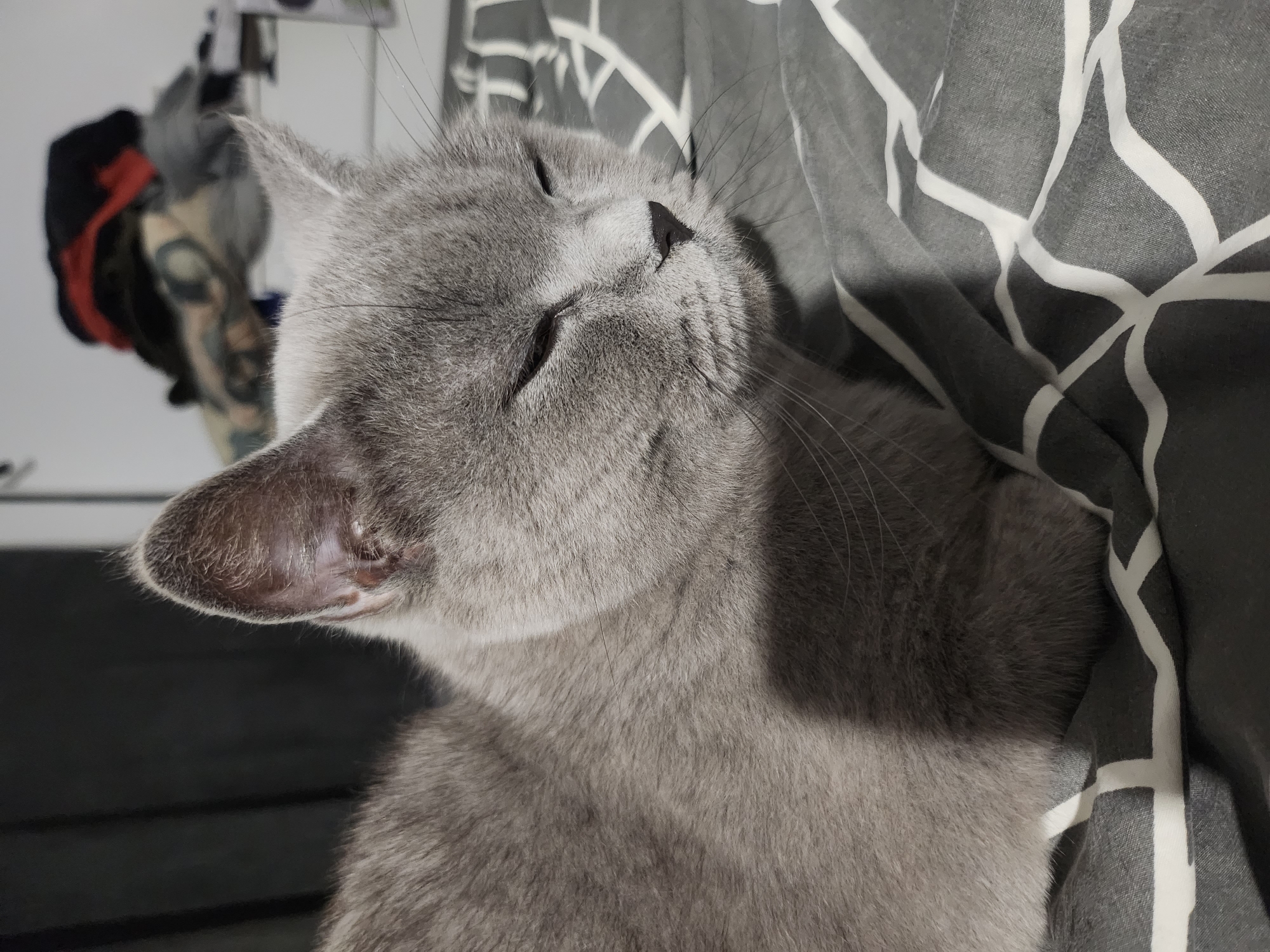 A grey British Shorthair cat is resting on a bed with a grey and white geometric patterned duvet. The cat's eyes are mostly closed, and it is facing towards the right of the frame. In the background, a shelf is visible with some clothes piled on it, and a dark wall. The image appears to be taken indoors. No information is available about the location in the city of Tsarevo, Bulgaria.