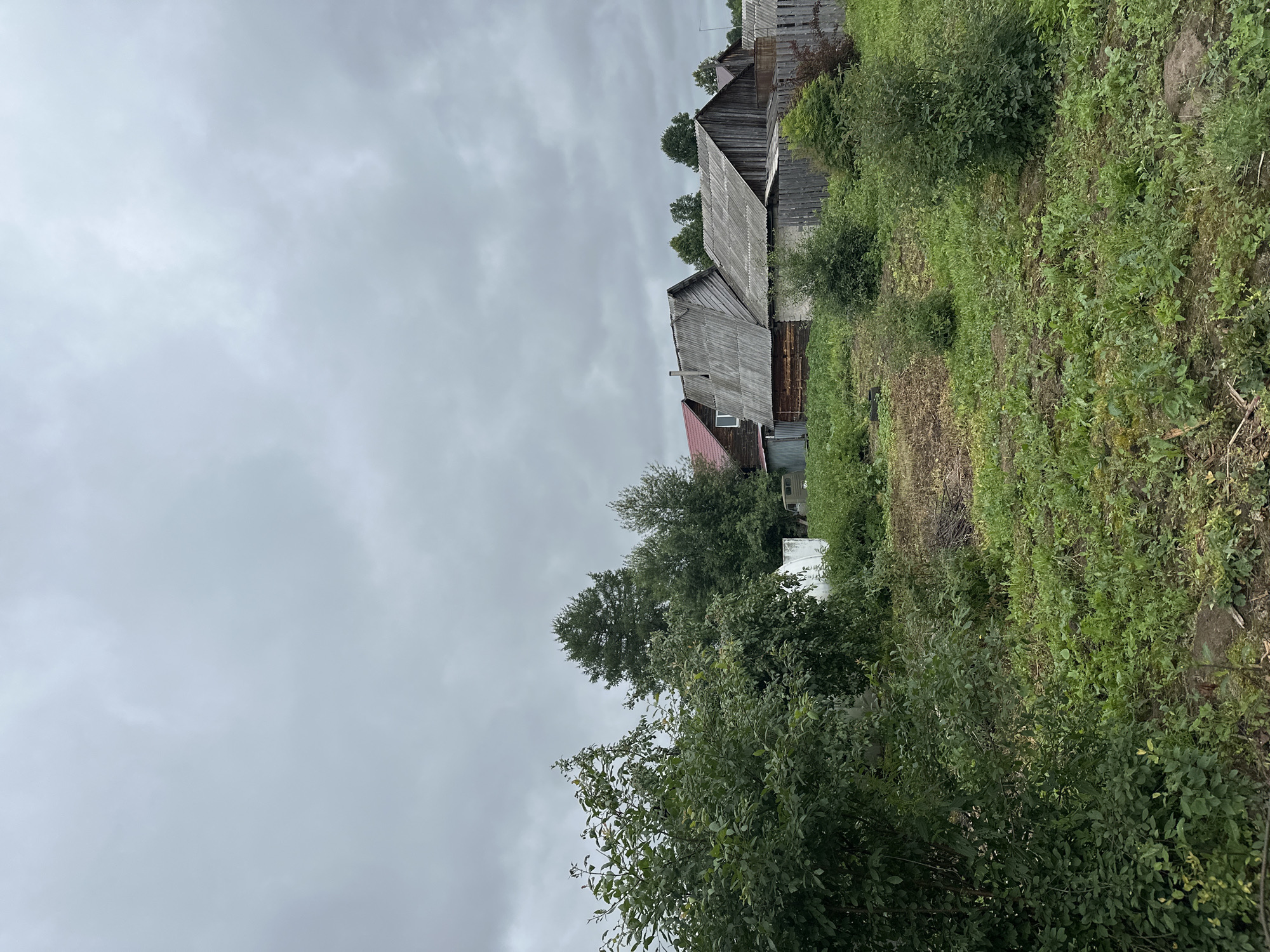 The image depicts a rural scene in Sosnovo, Russia. The foreground is a grassy area with scattered vegetation and some bare patches of earth. In the middle ground, several wooden structures with corrugated roofs are visible, suggesting a residential or agricultural area. Trees and bushes are interspersed throughout the scene. A large tree stands prominently behind the buildings. The sky is overcast with dense clouds. A part of a vehicle, possibly a truck, can be seen to the left of the houses. The overall impression is that of a somewhat rustic and weathered settlement under a cloudy sky.