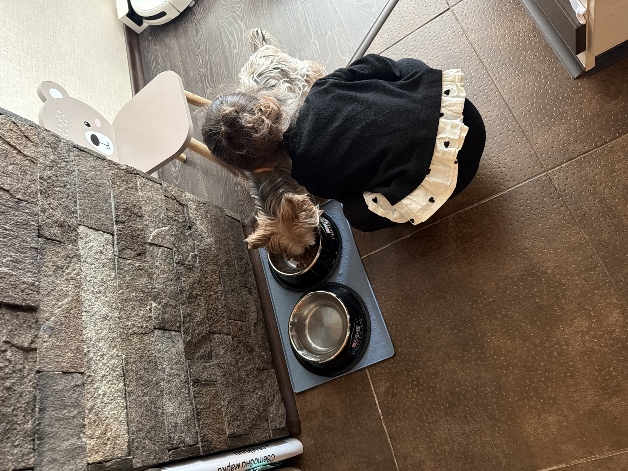 Here is a forensic description of the image:
**Location:** Interior space in an unknown city.
**Subject Identification:**
* **Human:** A young individual with their hair in a bun, wearing a black top with white ruffles featuring black heart details.
* **Animals:** Two dogs. One Yorkshire Terrier eating from a food bowl. Another white and gray dog in the background.
**Objects:**
* Two dog bowls on a grey mat. One contains dog food, the other appears empty.
* A child's chair with a bear design.
* A stone-tile wall.
* A white robotic vacuum cleaner.
* A white tube-shaped object with inscriptions in an unknown language.
**Actions:**
* One dog is eating.
* The human is positioned near the dog and the food bowls.
**Environment:**
* The floor is covered with brown patterned tiles.
* There are various household items in the background.
* The light source is positioned above and possibly slightly behind the camera.