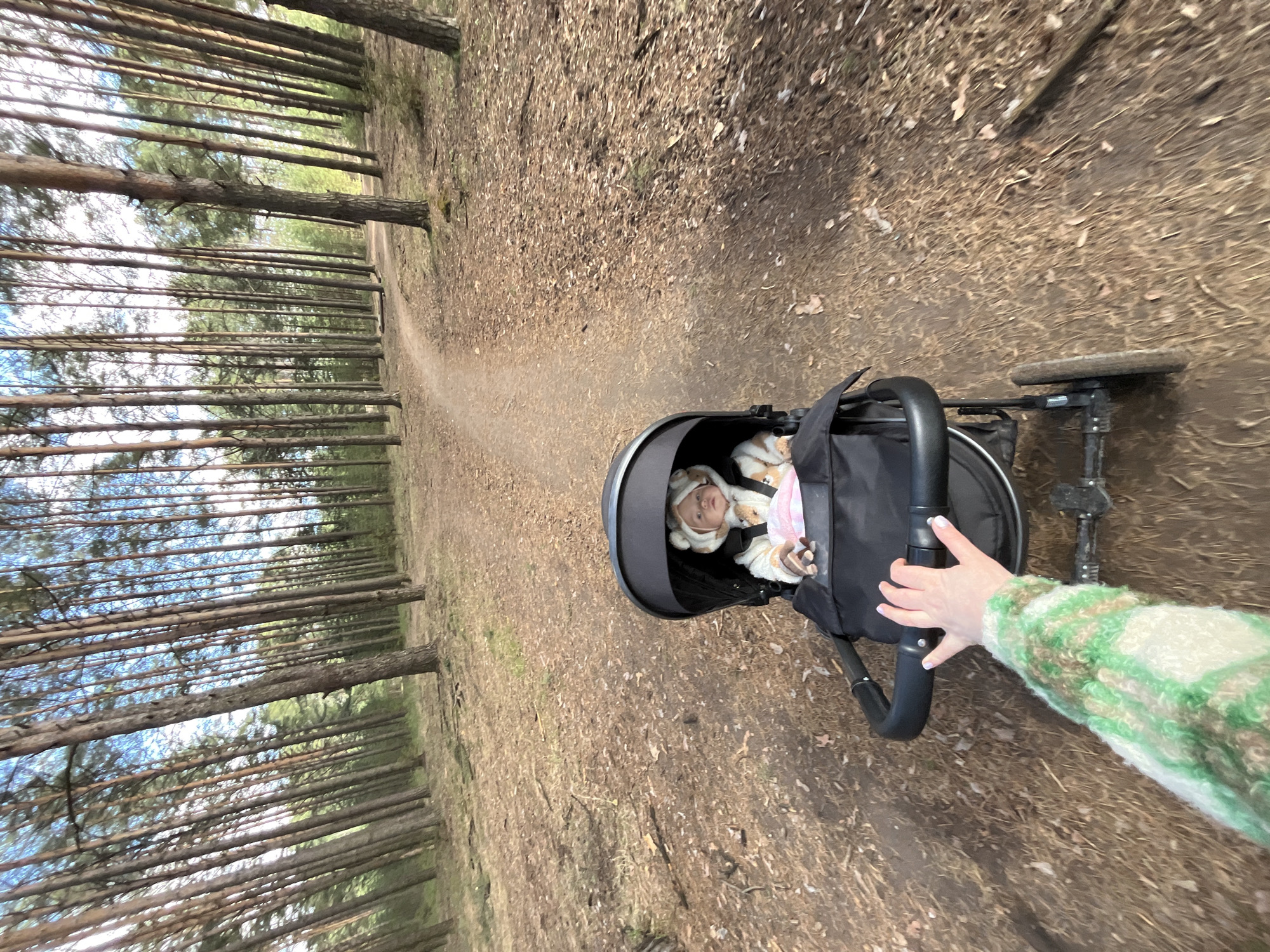 A first-person perspective photo captures a stroller on a dirt path through a forest. A baby wearing a hooded outfit with animal ears is lying in the stroller. The hand of the person pushing the stroller is visible, gripping the stroller handle. The trees are tall and slender. The ground is covered in dry leaves and dirt. The perspective is slightly tilted. I cannot determine the city of Chaikovsky, Russia is shown in this image.
