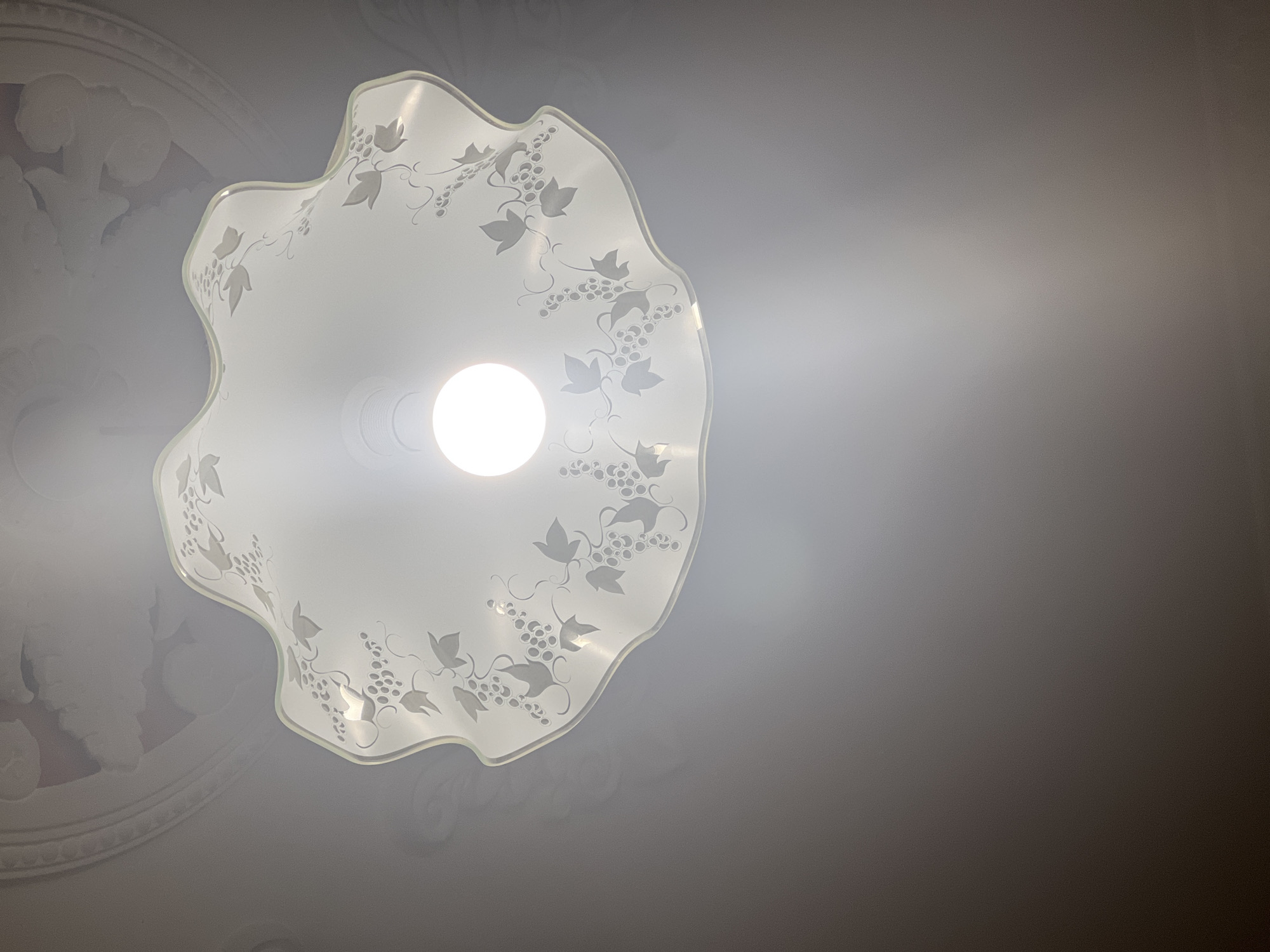 The image displays a close-up, upward view of a ceiling light fixture. The fixture has a white, frosted glass shade with a scalloped edge, decorated with a pattern of etched grapevines. A bright, round light bulb is visible within the shade, emitting a strong glare that washes out details of the light source itself. The ceiling above the light fixture shows a decorative molding with a floral or cloud-like painted motif, partially obscured by shadows and glare. The rest of the image consists of the ceiling, which is a gradient of grey tones, suggesting the overall lighting conditions of the room. No people or specific locations within Dobrich, Bulgaria are identifiable in this image.