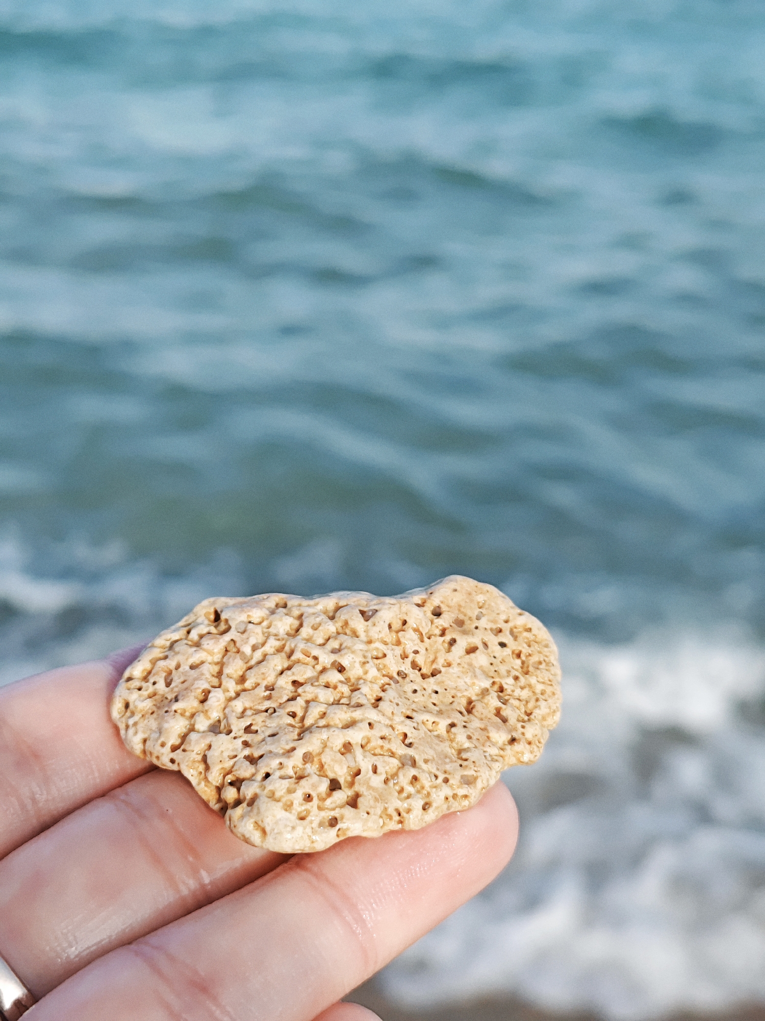 A close-up of a beige, porous piece of coral is held in a person's hand against a blurred background of the ocean. The coral is heart-shaped with numerous small holes throughout its surface. The hand, showing the lines of the palm and fingers, is slightly moist. The ocean water is a greenish-blue with white foam from breaking waves visible at the bottom of the frame. The lighting suggests it is daytime.